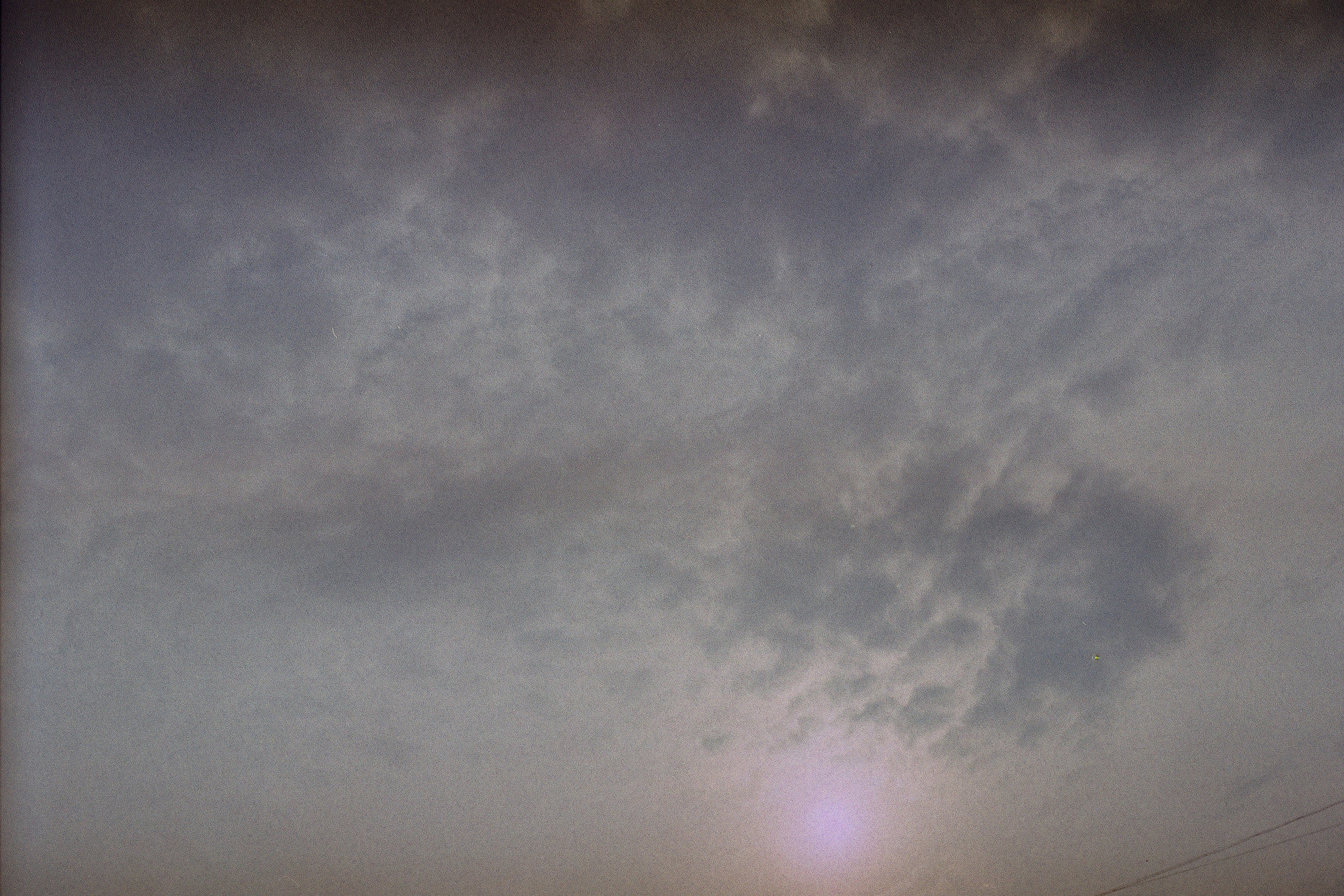 Silberra Color 50. Natalia Carney — Photographer, Model, Blogger