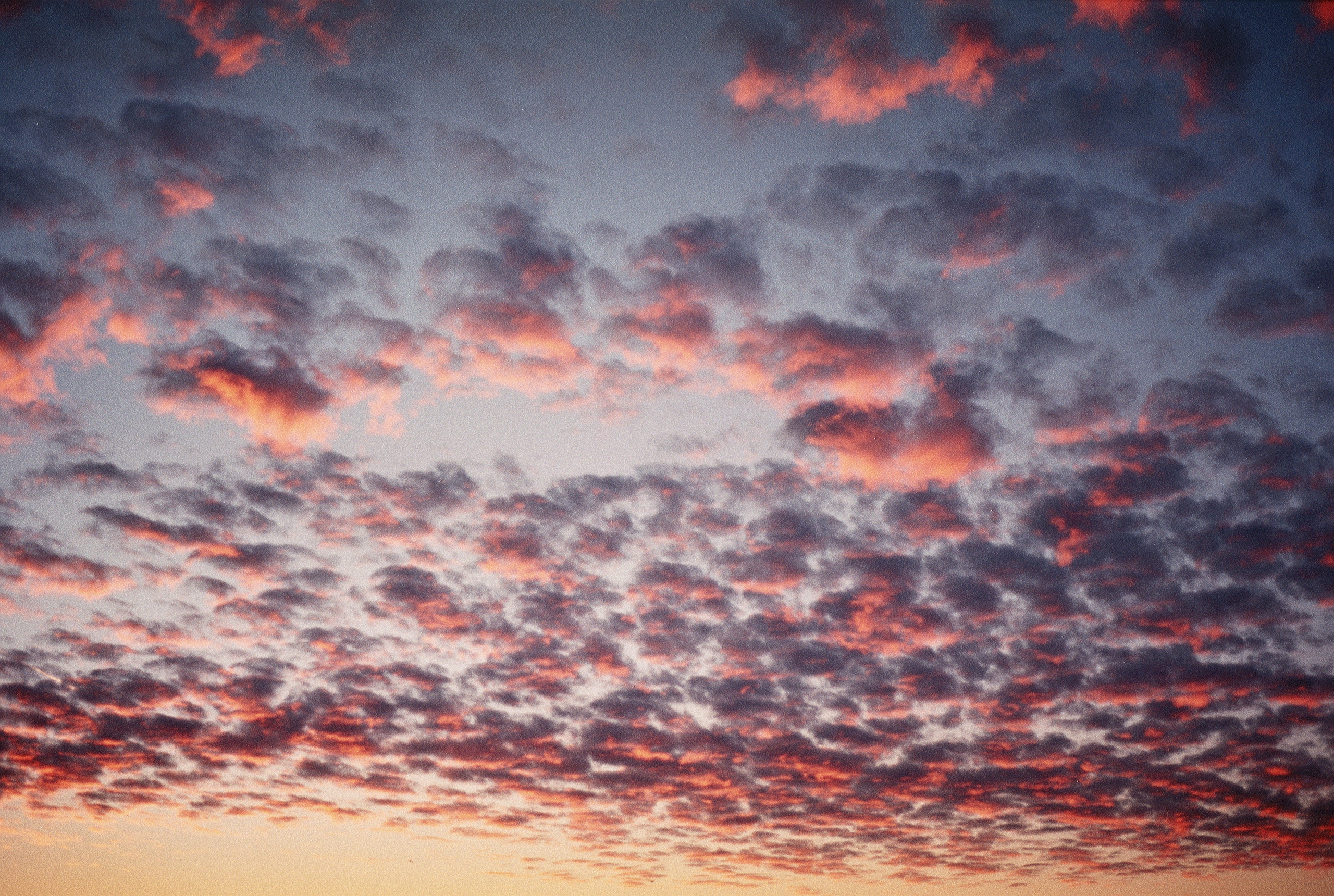 Silberra Color 160. Natalia Carney — Photographer, Model, Blogger