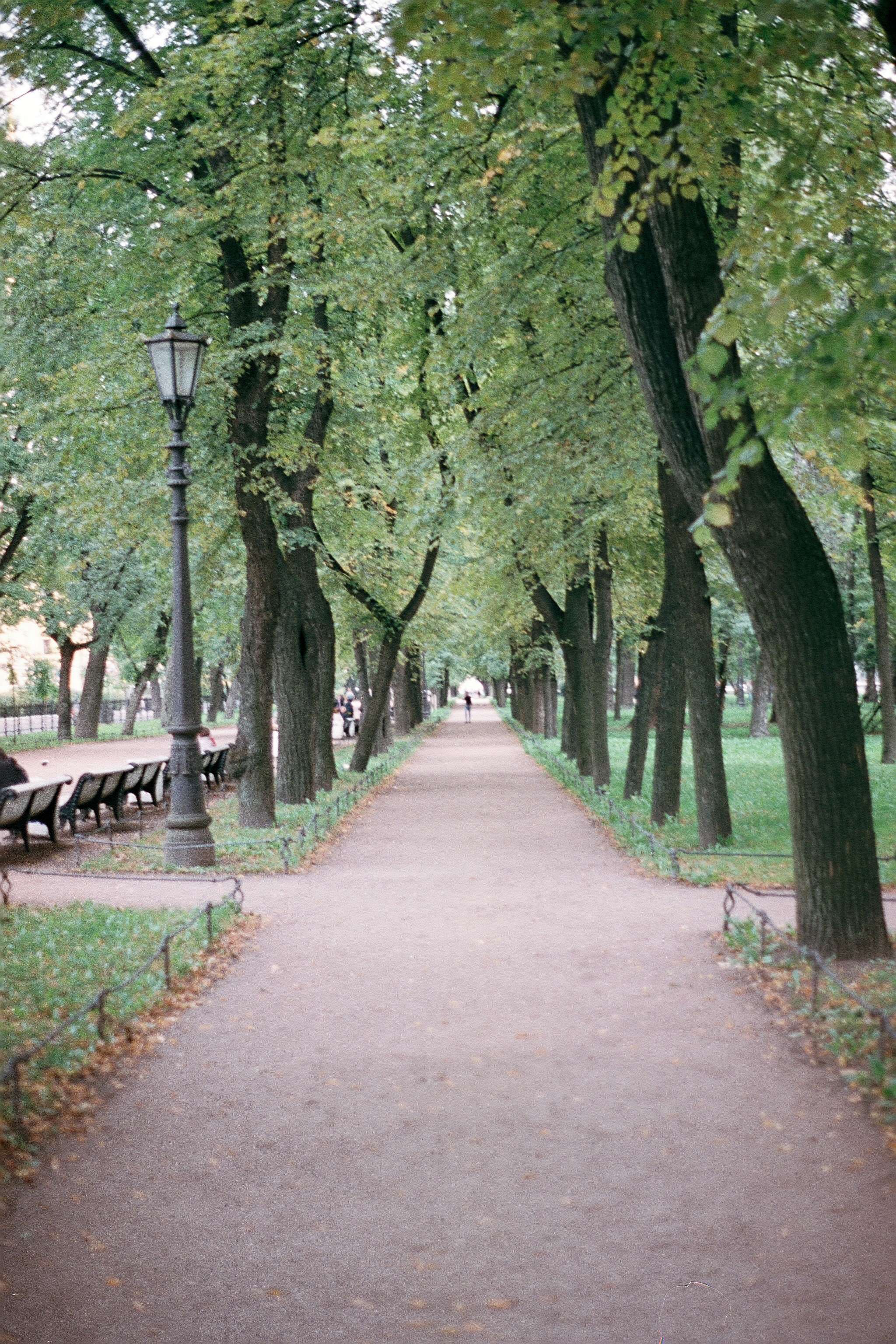 Silberra Color 50. Natalia Carney — Photographer, Model, Blogger