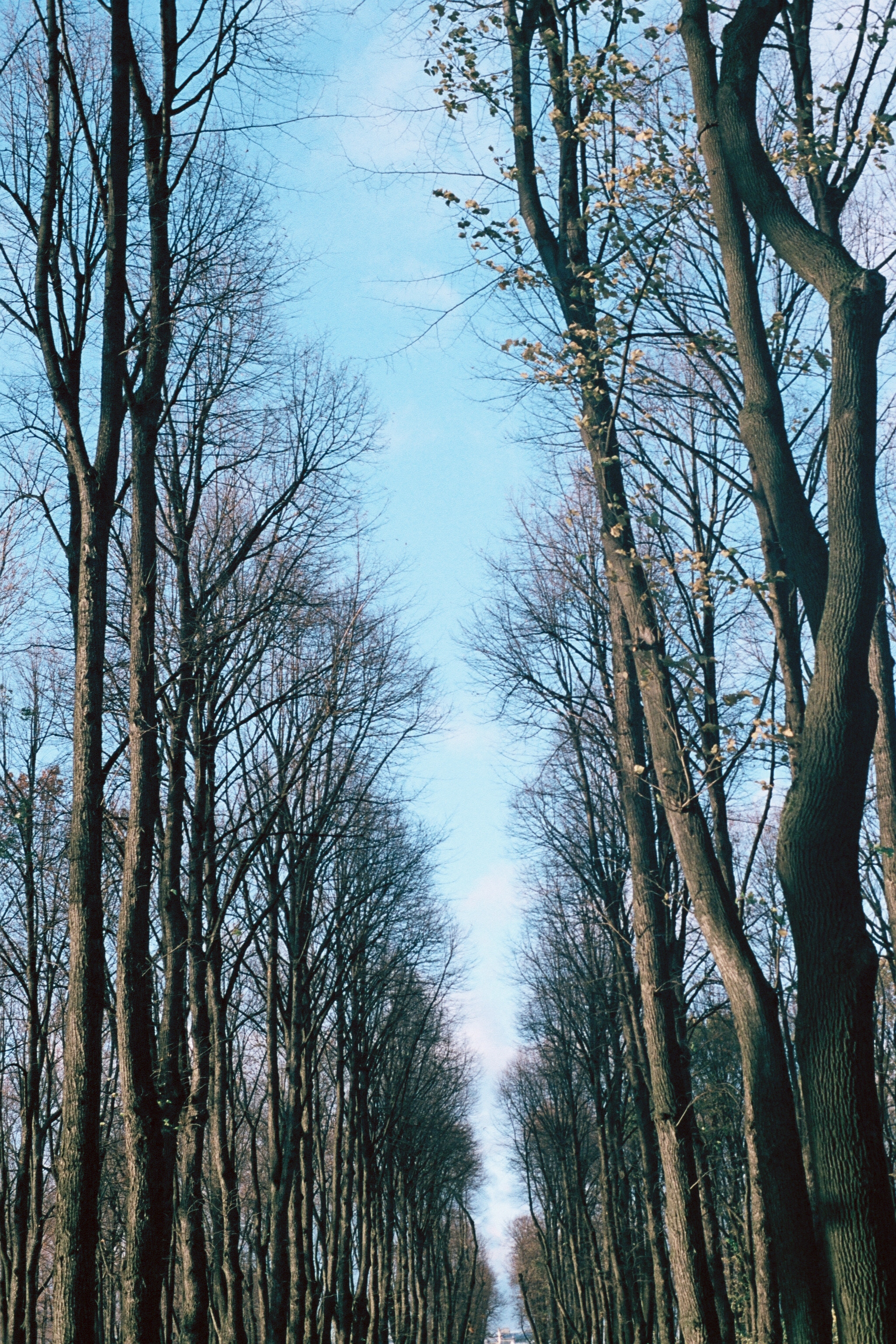 Silberra Color 100. Natalia Carney — Photographer, Model, Blogger