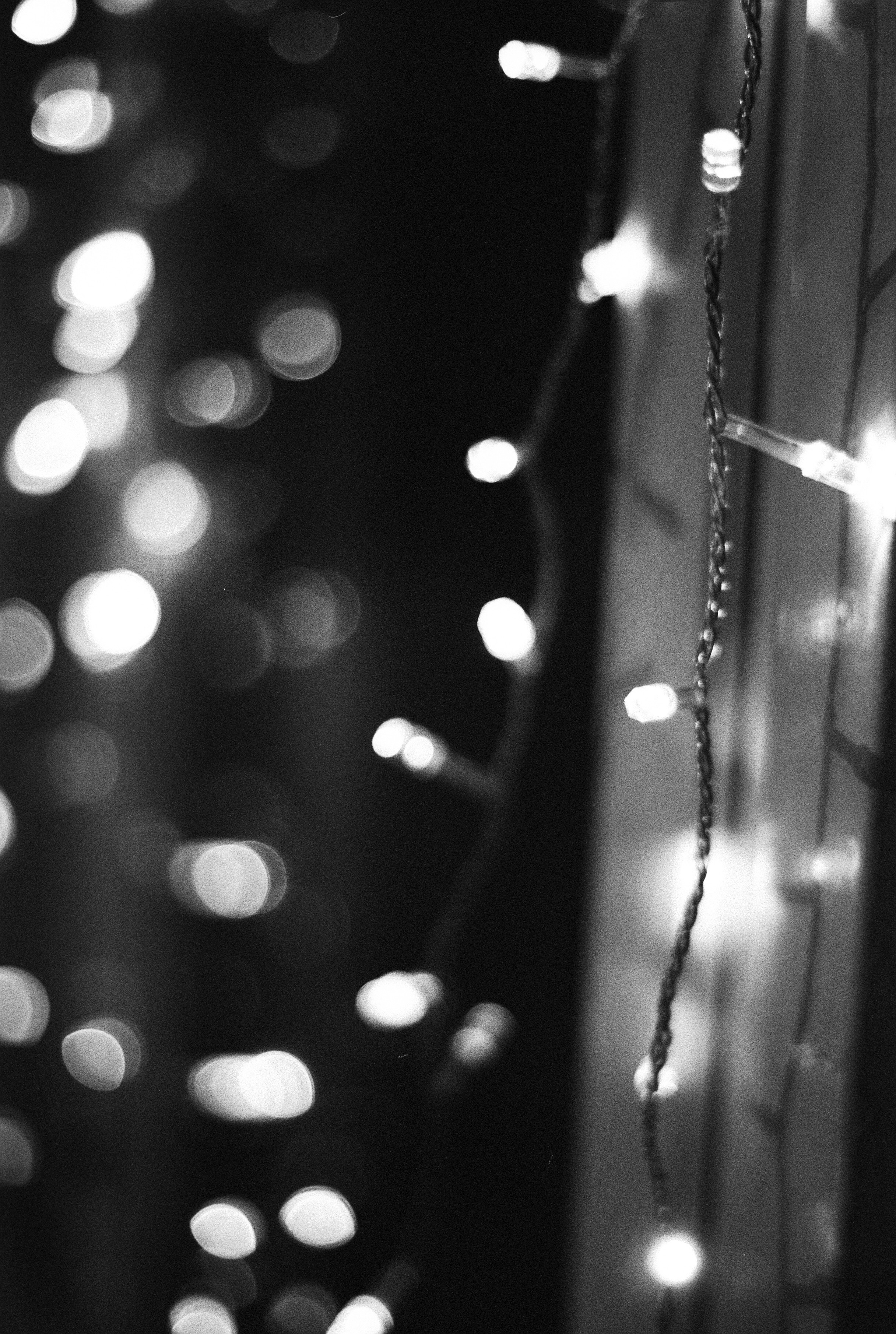 Silberra Pan 160. Natalia Carney — Photographer, Model, Blogger