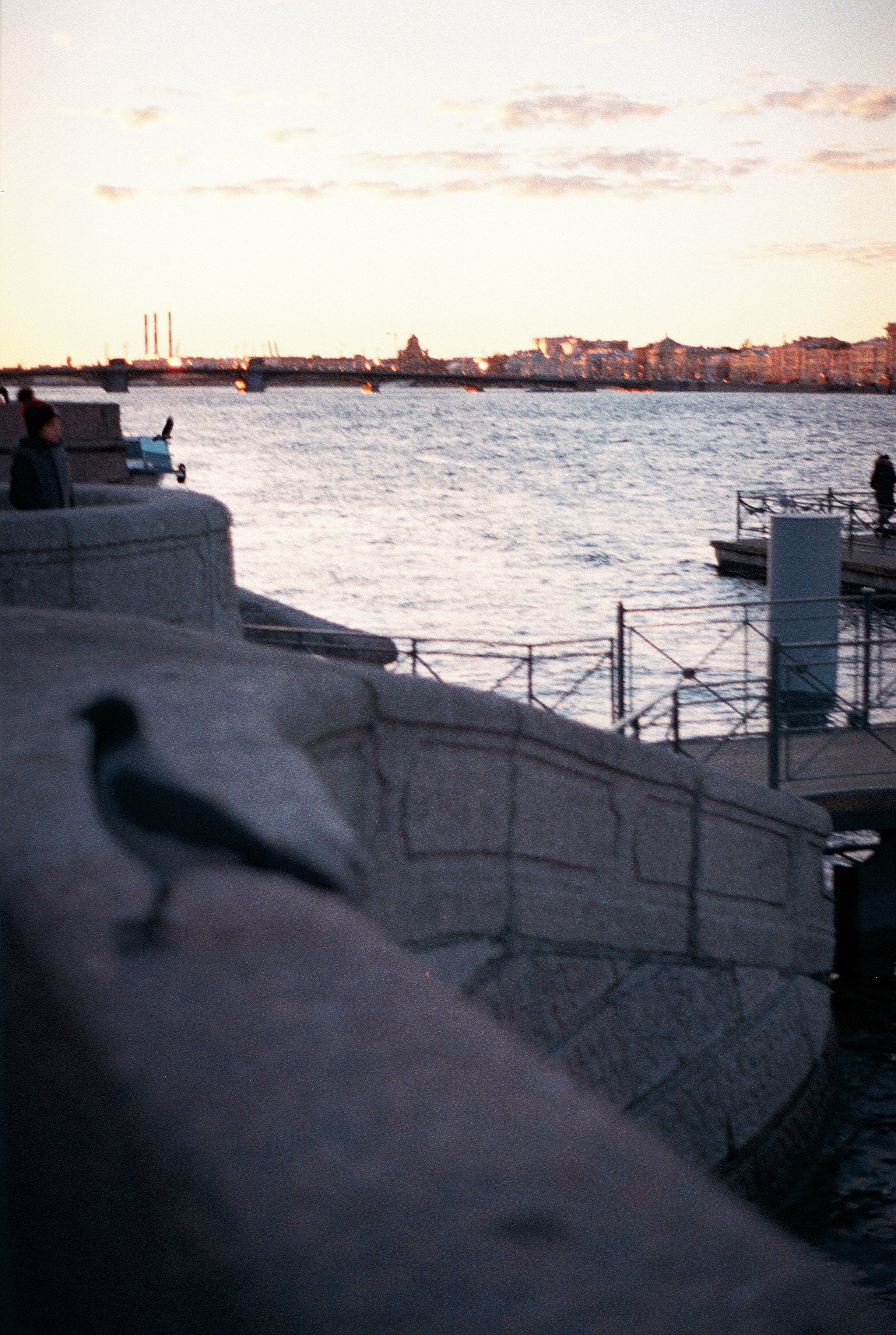 Silberra Color 160. Natalia Carney — Photographer, Model, Blogger