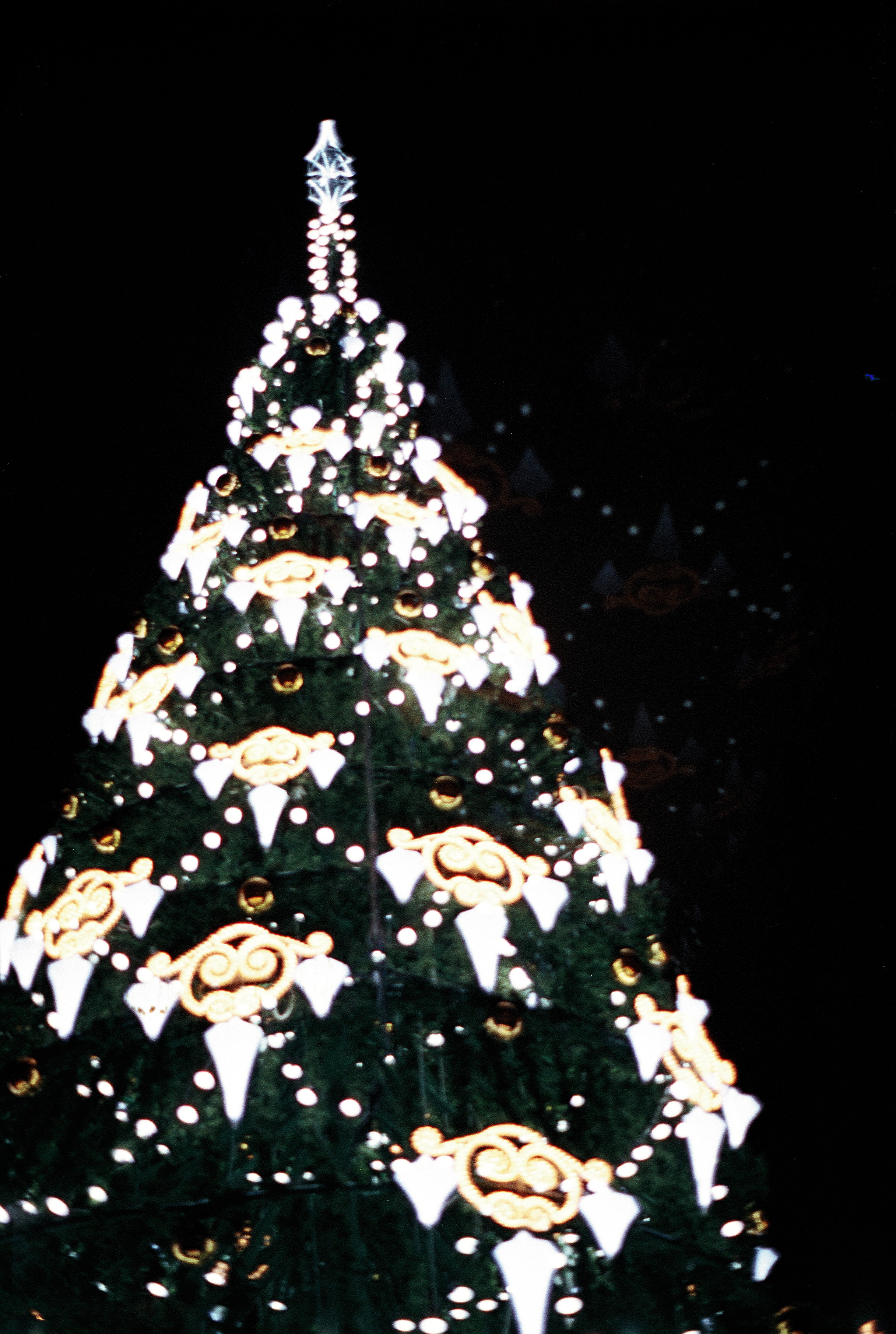 Silberra Color 160. Natalia Carney — Photographer, Model, Blogger