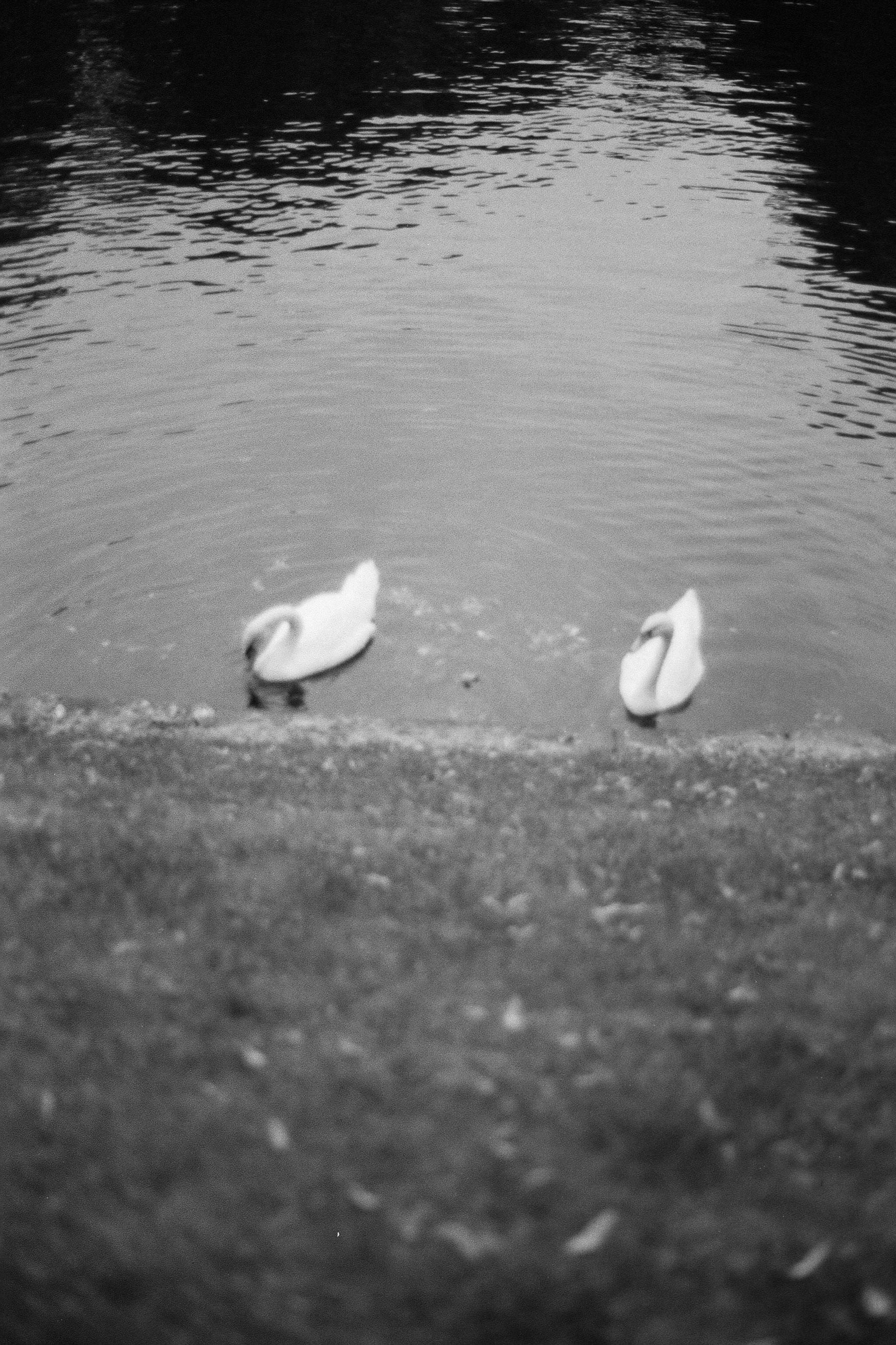 Silberra P400. Natalia Carney — Photographer, Model, Blogger