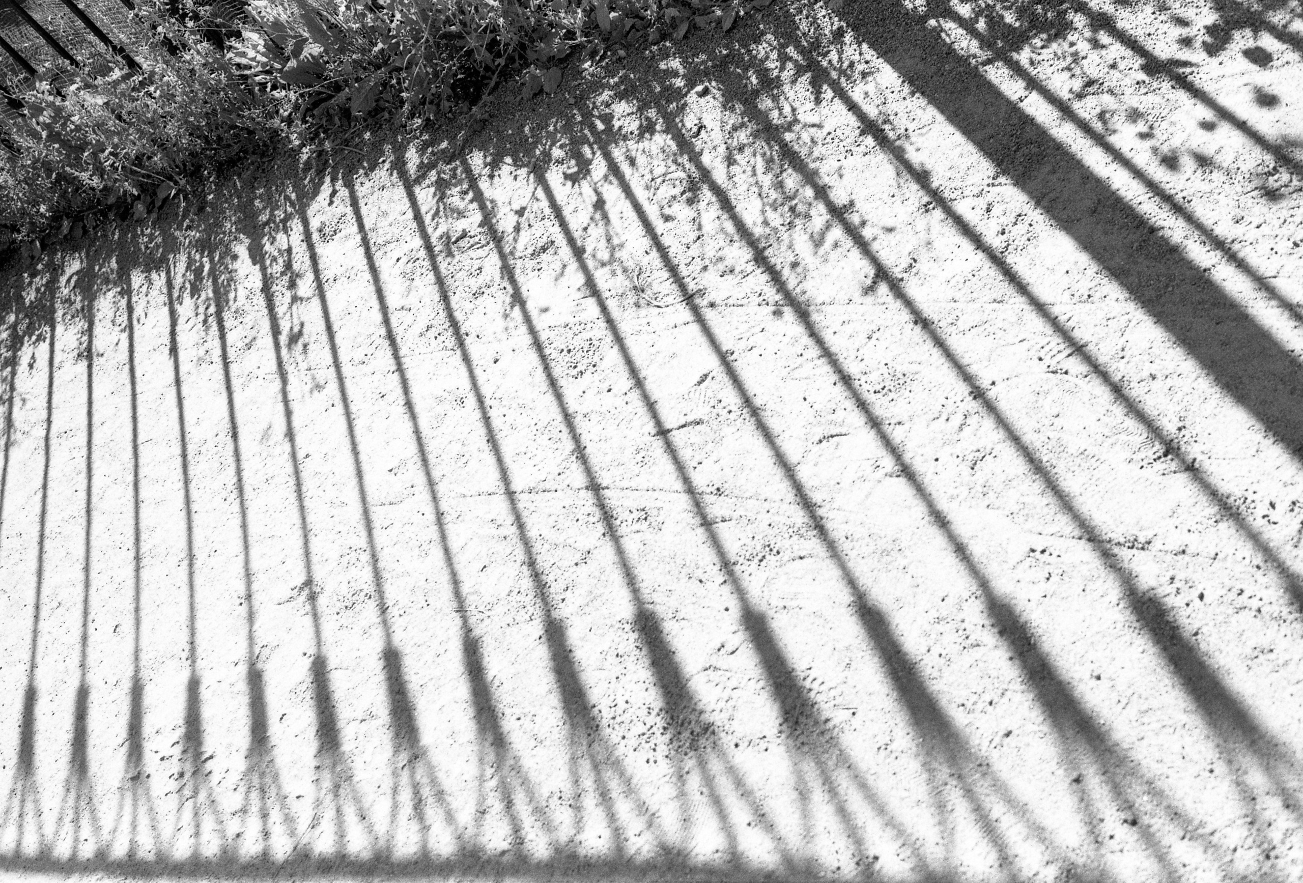 Silberra Ultima 160. Natalia Carney — Photographer, Model, Blogger