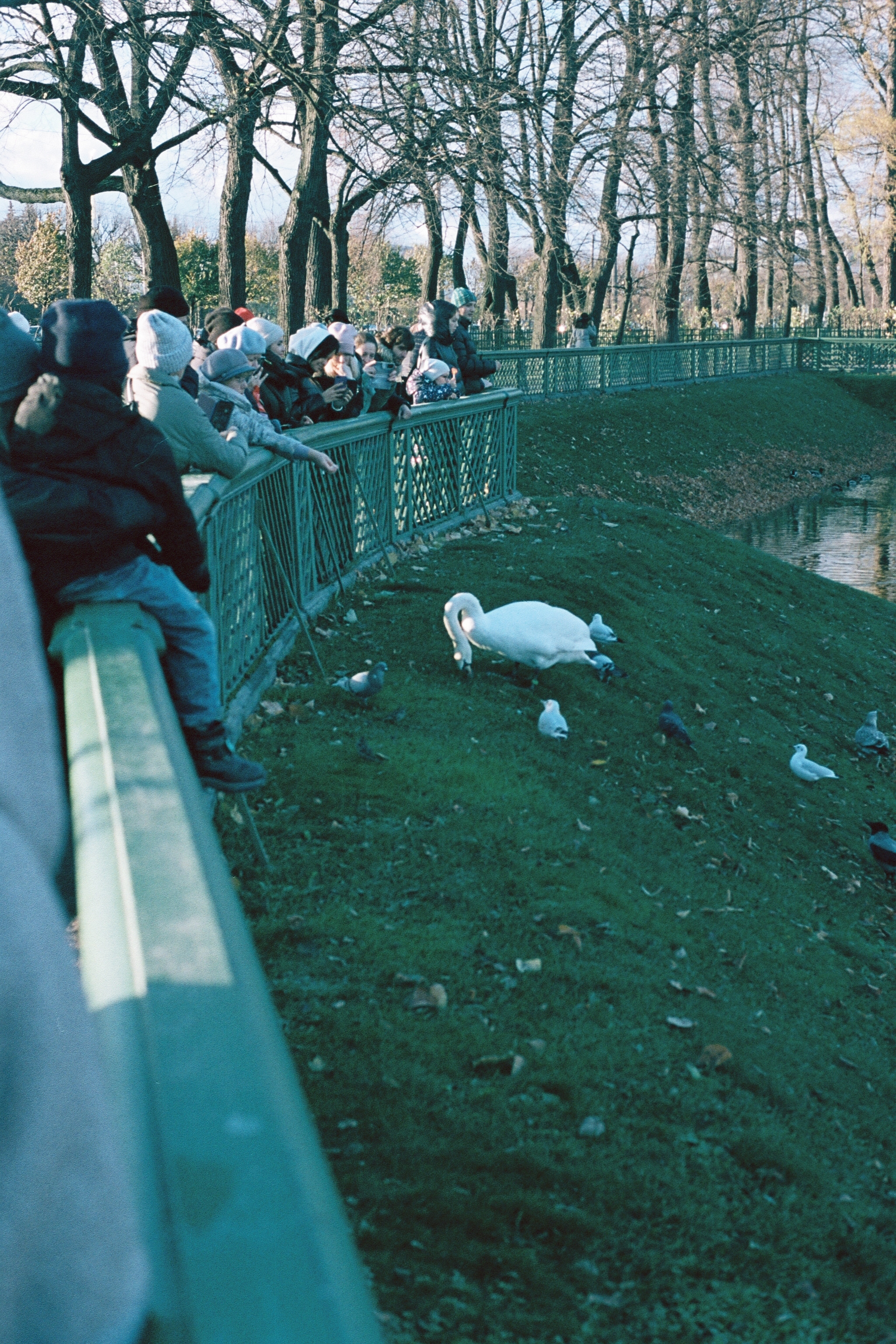 Silberra Color 100. Natalia Carney — Photographer, Model, Blogger