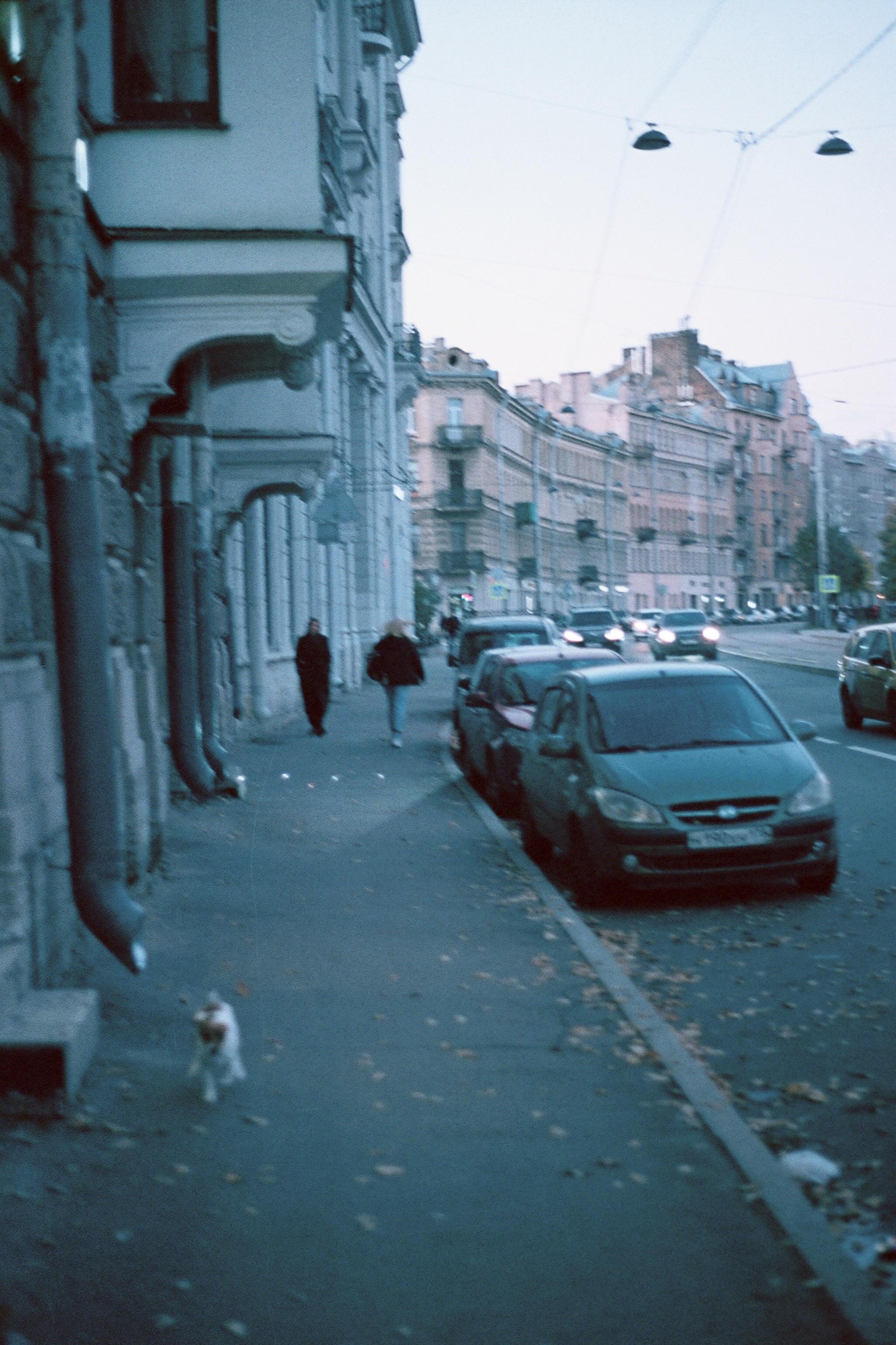 Silberra Color 100. Natalia Carney — Photographer, Model, Blogger