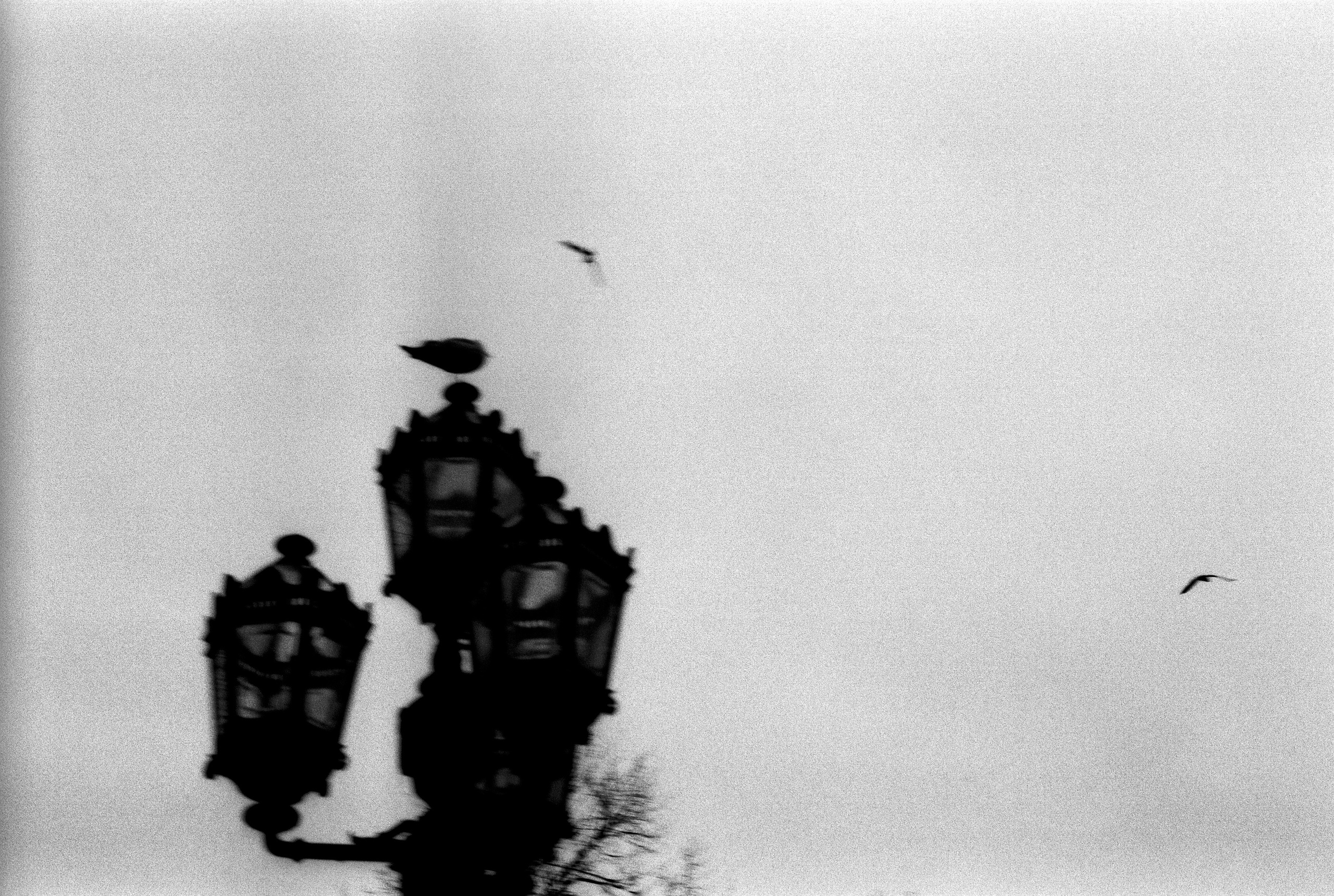 Silberra Pan 160. Natalia Carney — Photographer, Model, Blogger