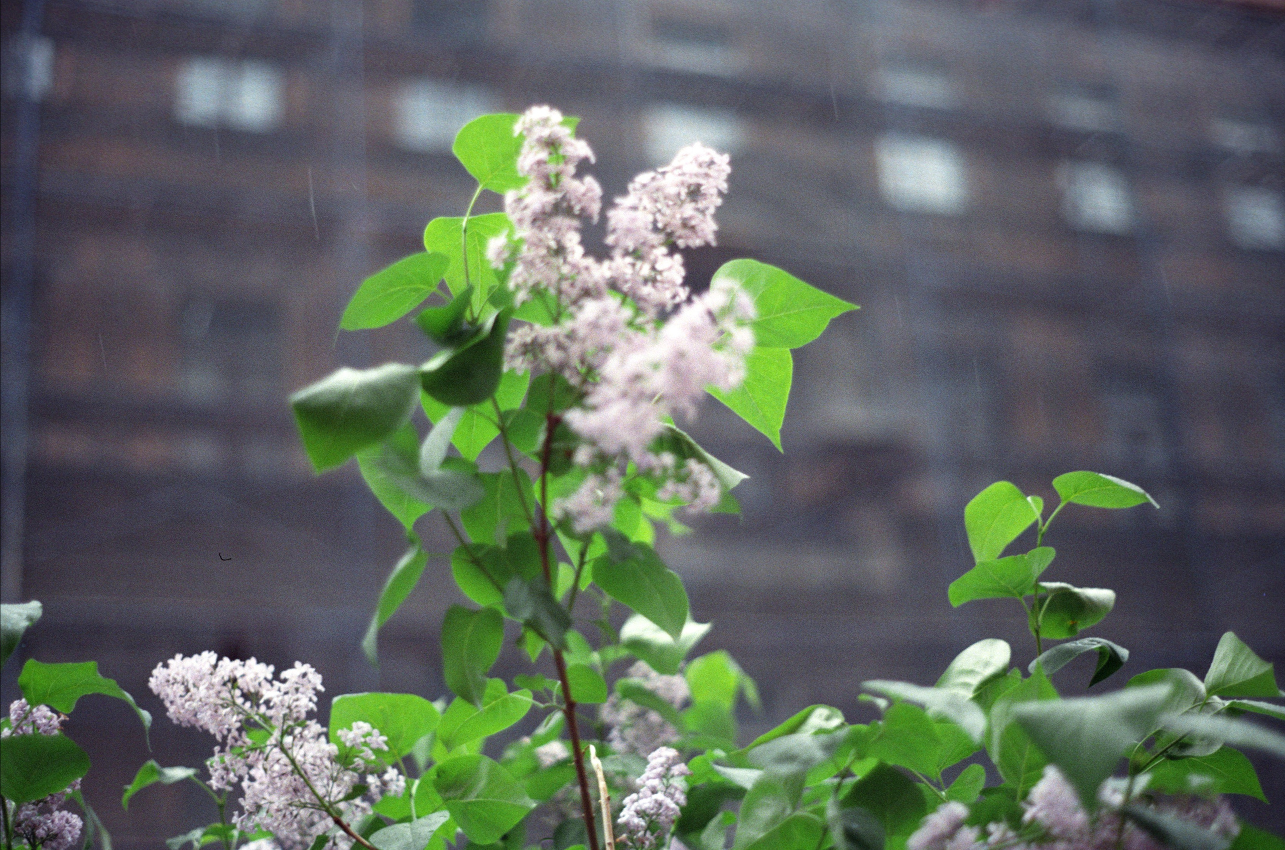 My was first attempt to shoot a film and this is the result. Natalia Carney — Photographer, Model, Blogger