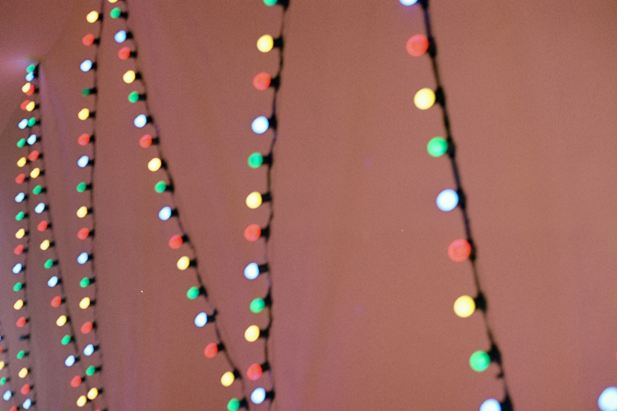 Silberra Color 50. Natalia Carney — Photographer, Model, Blogger