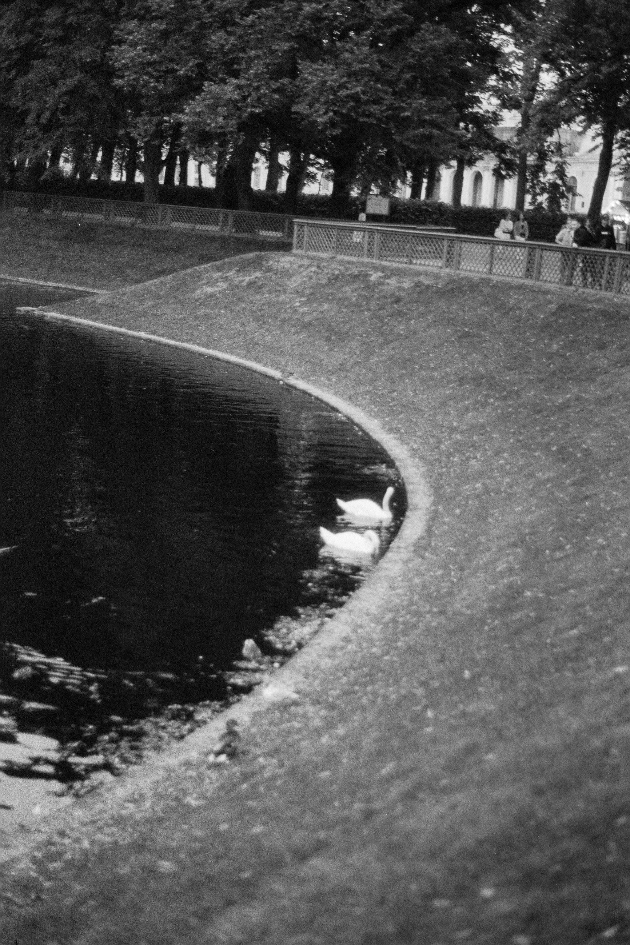 Silberra P400. Natalia Carney — Photographer, Model, Blogger