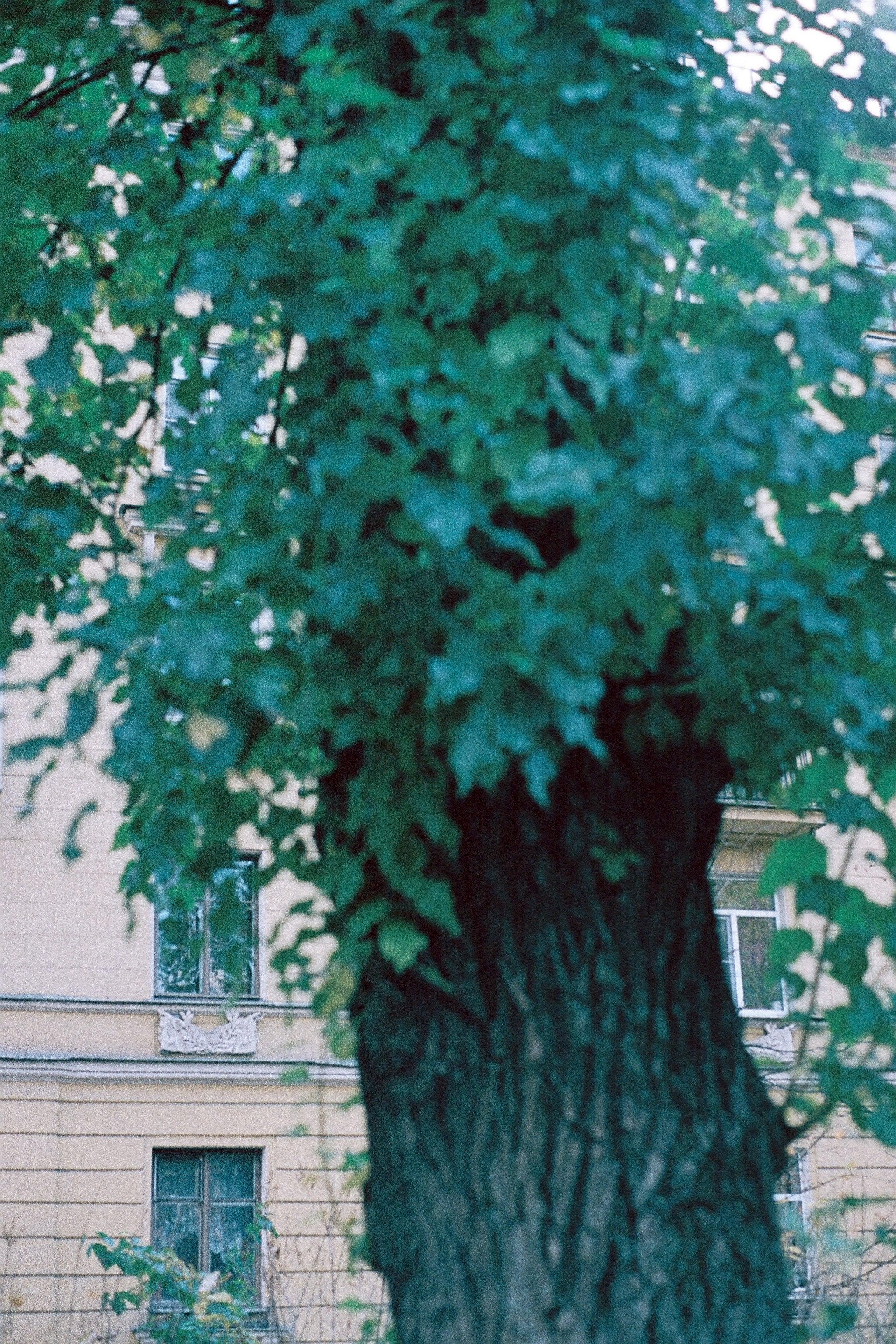 Silberra Color 100. Natalia Carney — Photographer, Model, Blogger