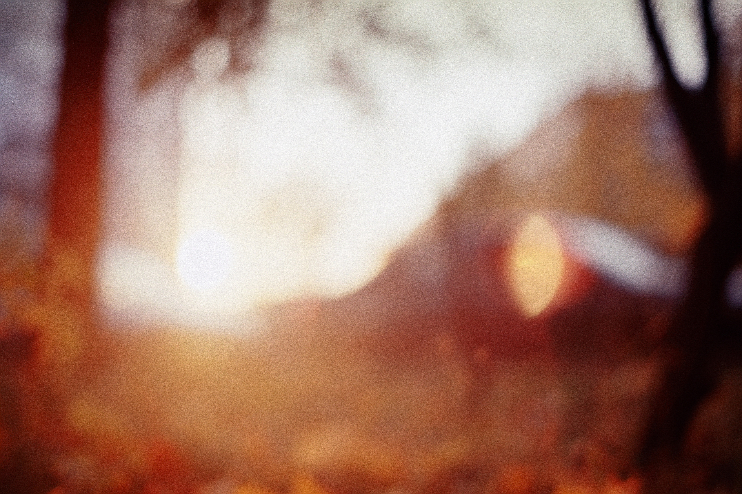 Silberra Color 50. Natalia Carney — Photographer, Model, Blogger