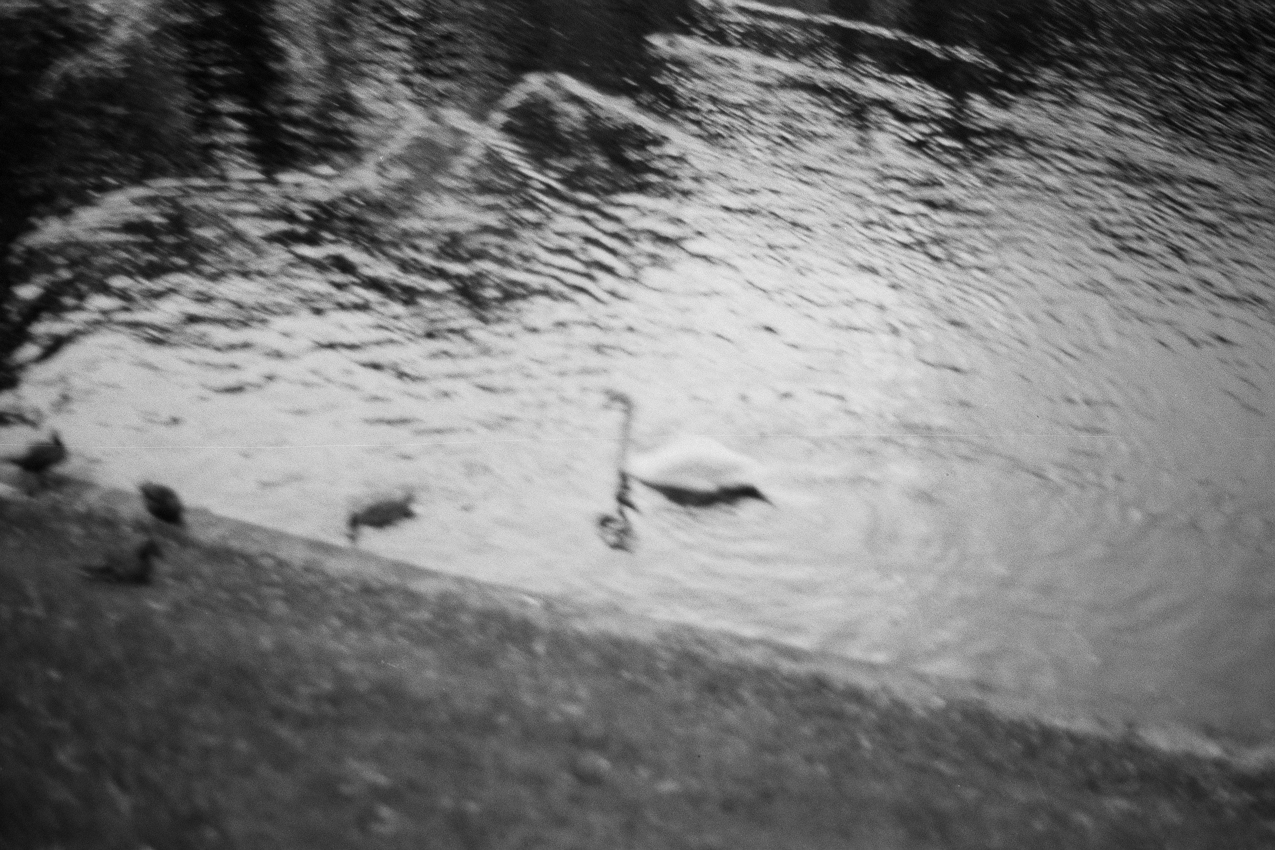 Silberra P400. Natalia Carney — Photographer, Model, Blogger