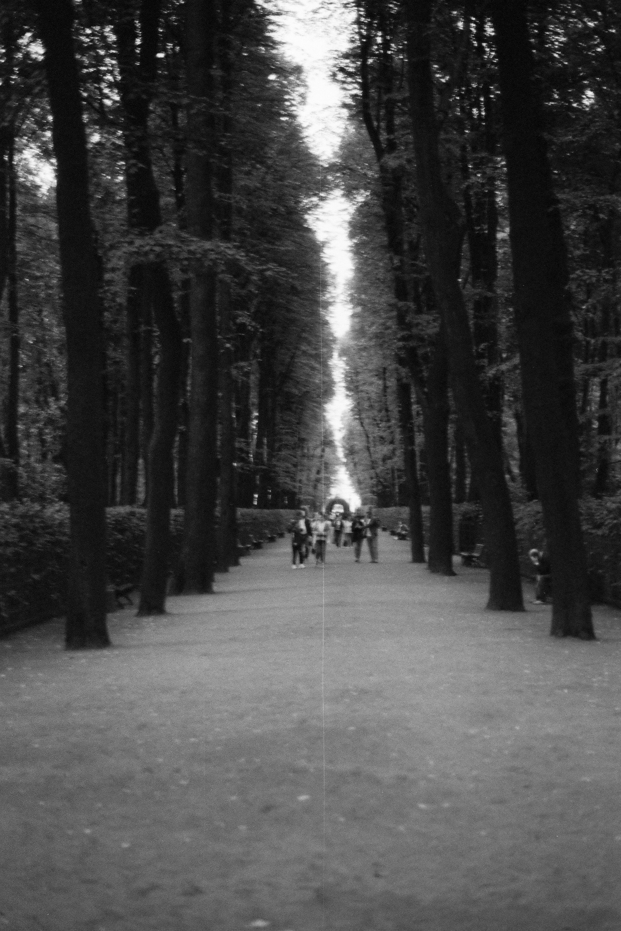 Silberra P400. Natalia Carney — Photographer, Model, Blogger