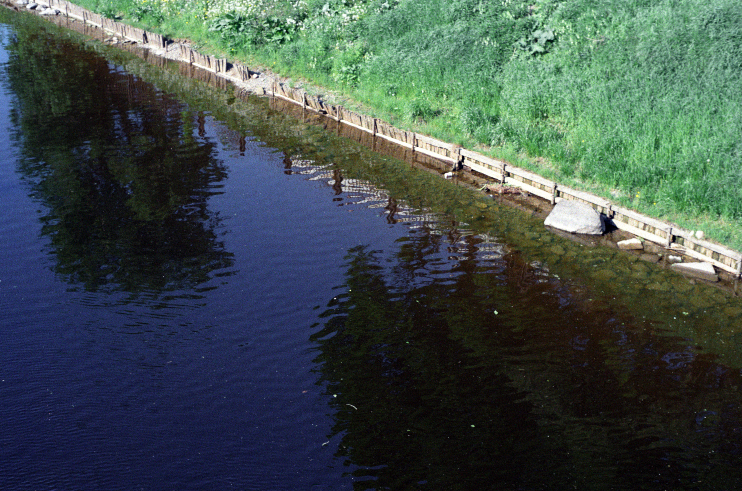 My was first attempt to shoot a film and this is the result. Natalia Carney — Photographer, Model, Blogger