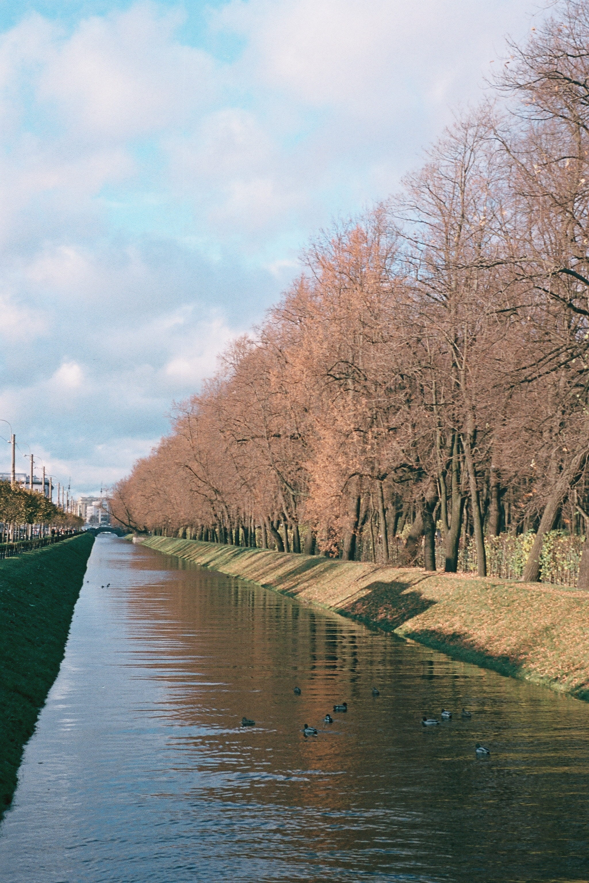 Silberra Color 100. Natalia Carney — Photographer, Model, Blogger