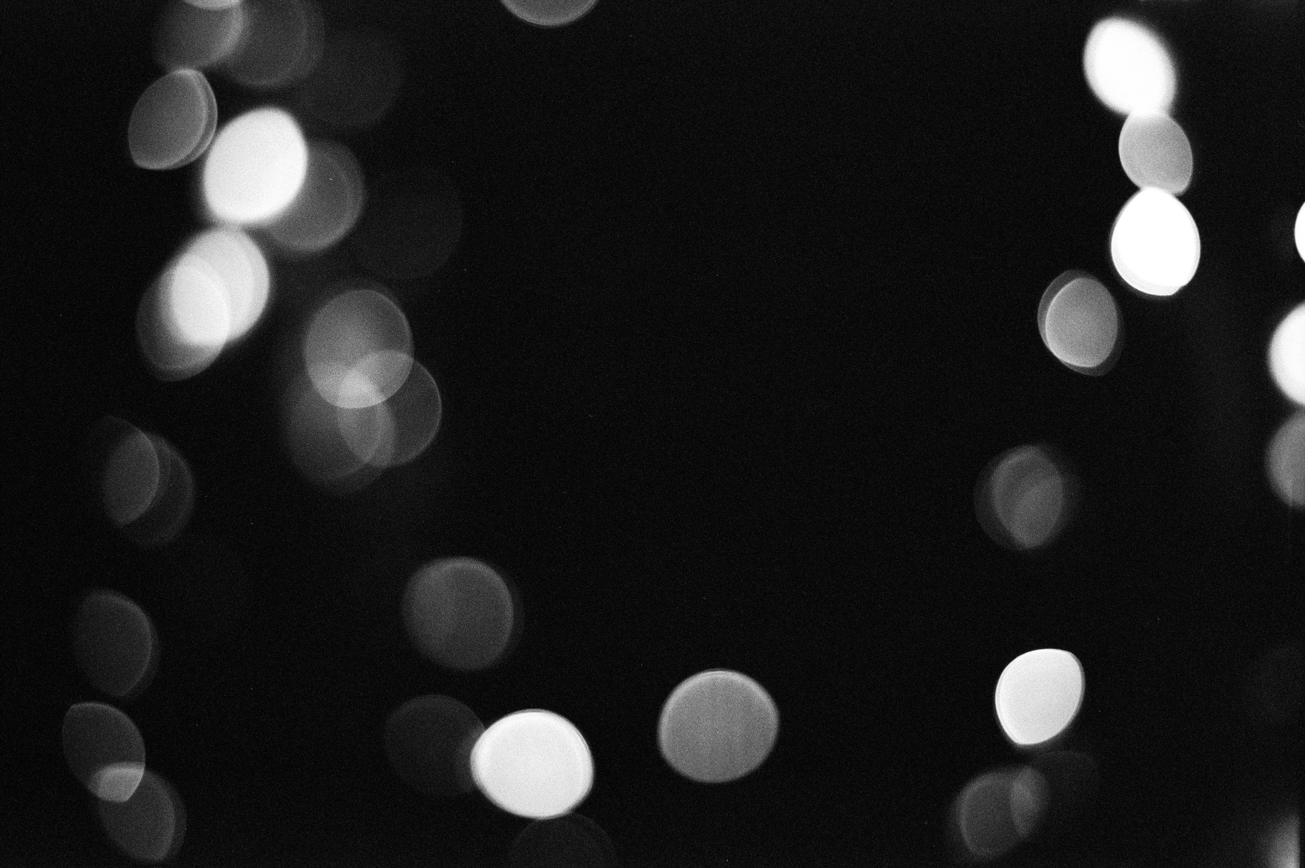 Silberra Pan 160. Natalia Carney — Photographer, Model, Blogger