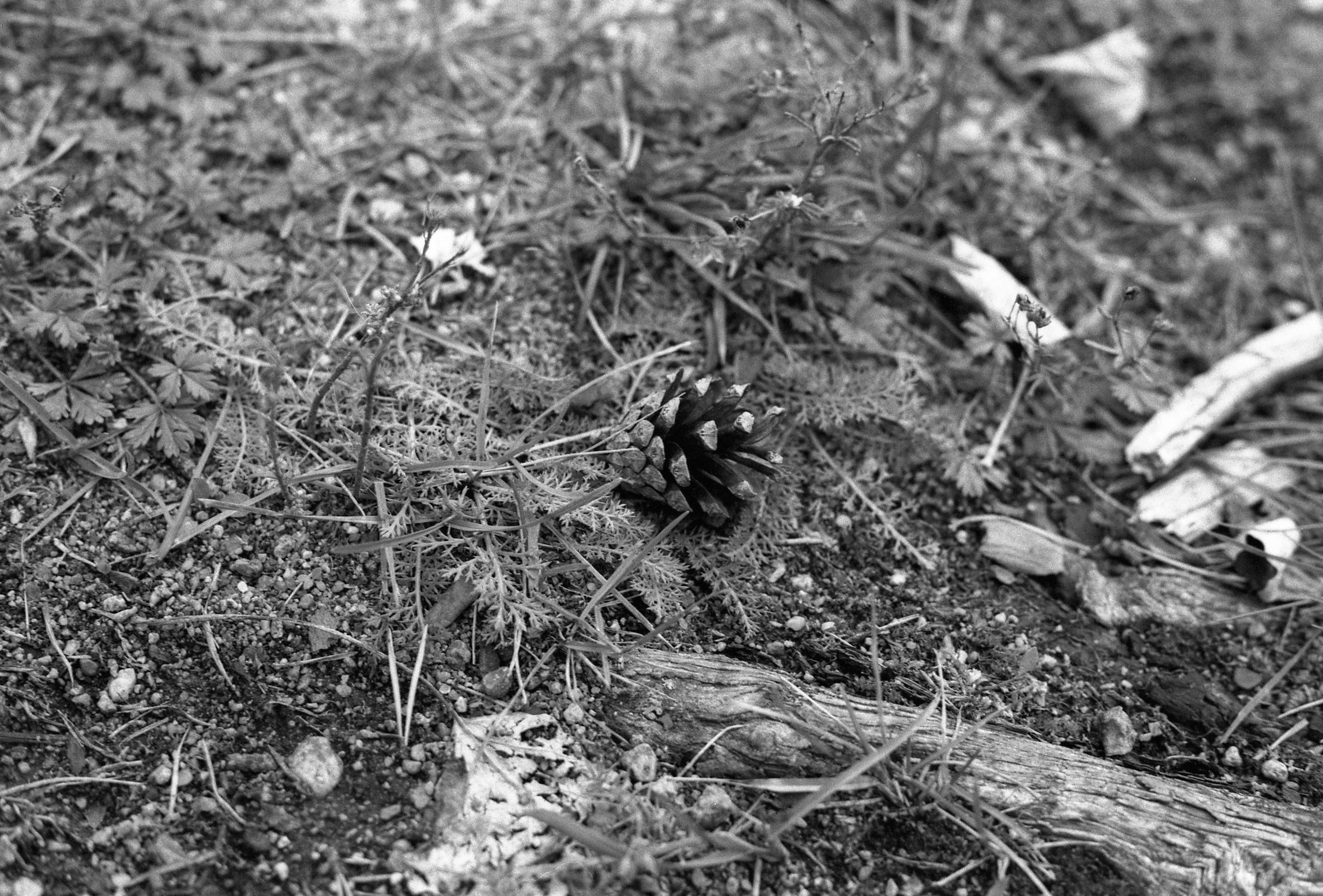 Silberra Ultima 160. Natalia Carney — Photographer, Model, Blogger