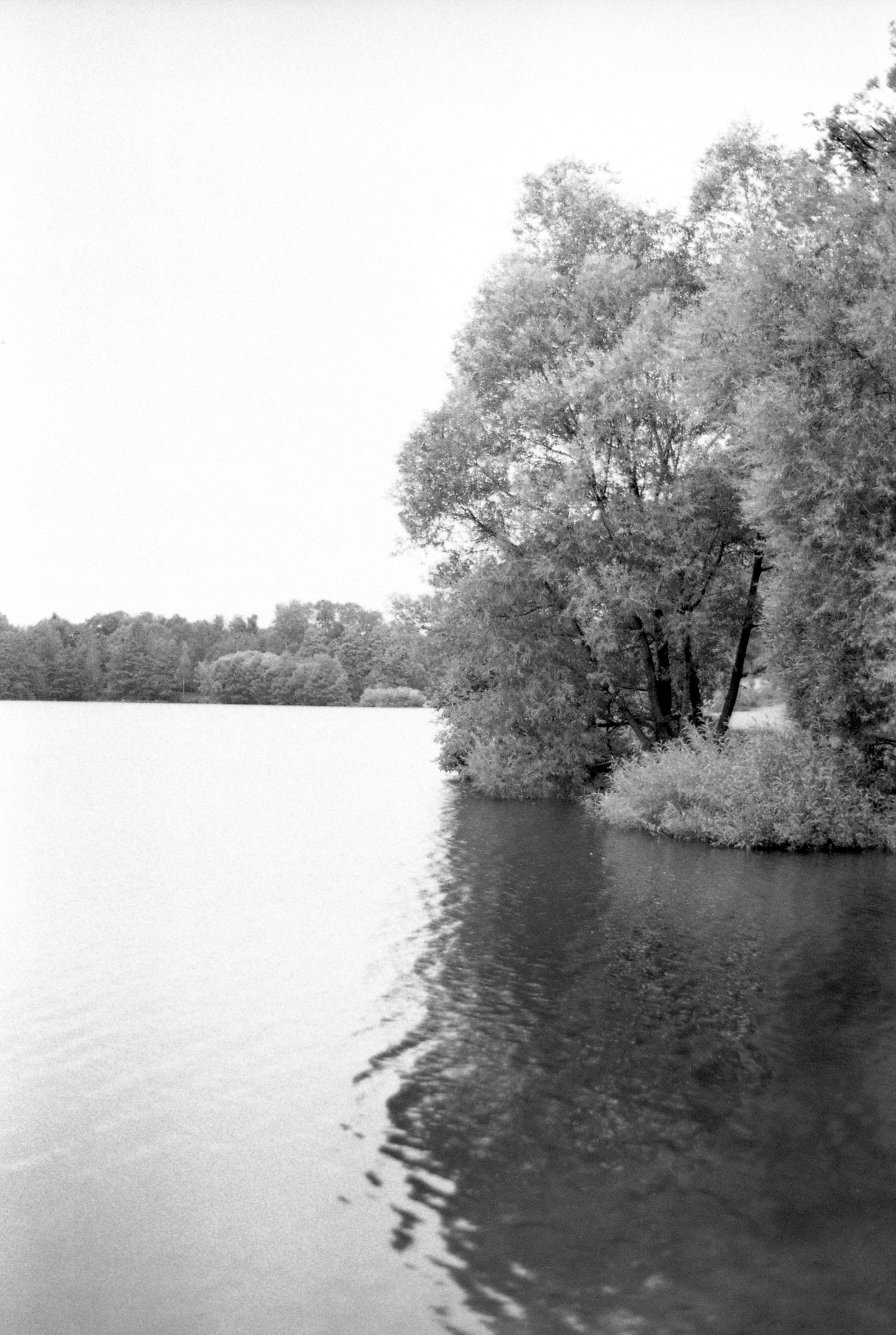 Silberra Ultima 160. Natalia Carney — Photographer, Model, Blogger