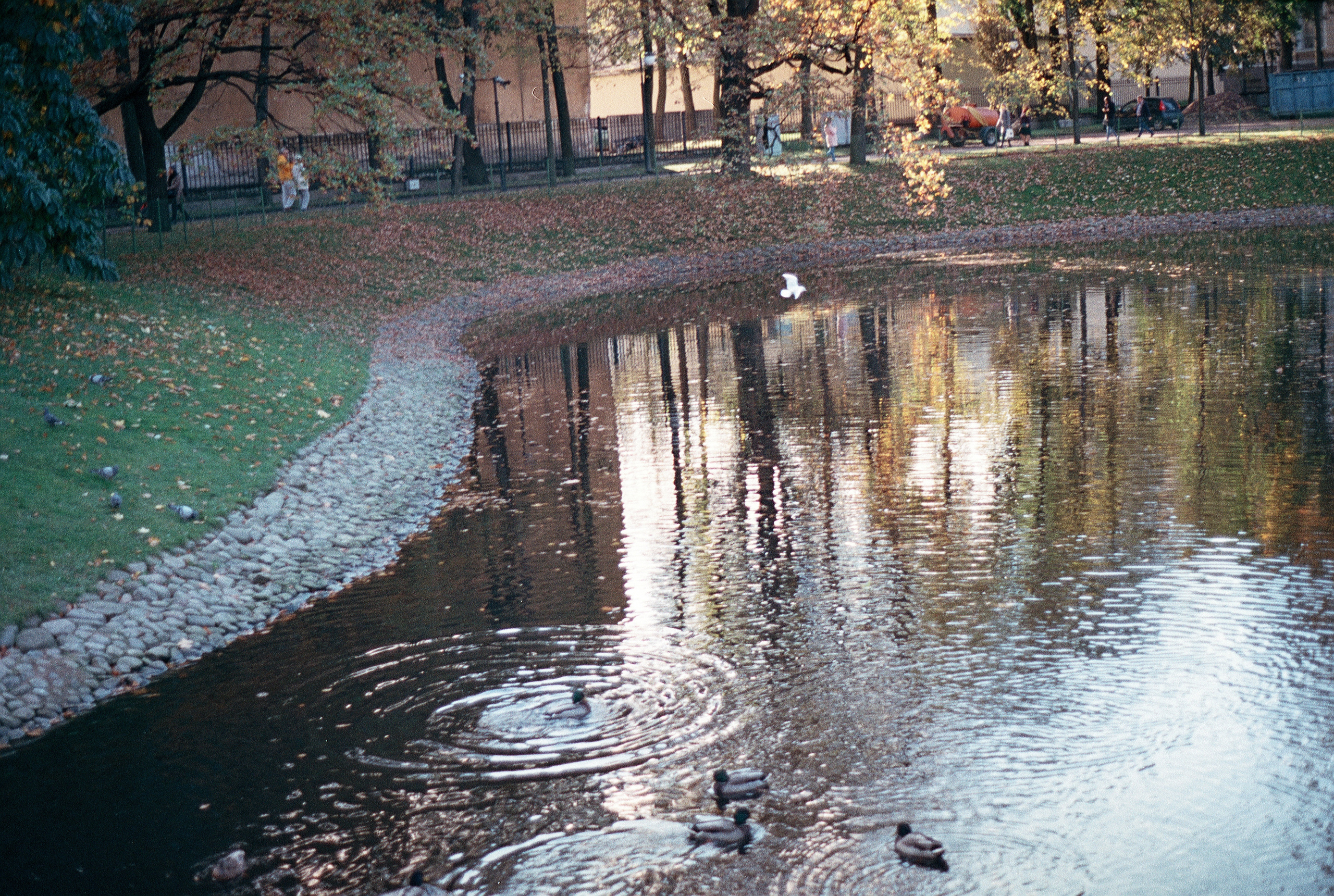 Silberra Color 160. Natalia Carney — Photographer, Model, Blogger