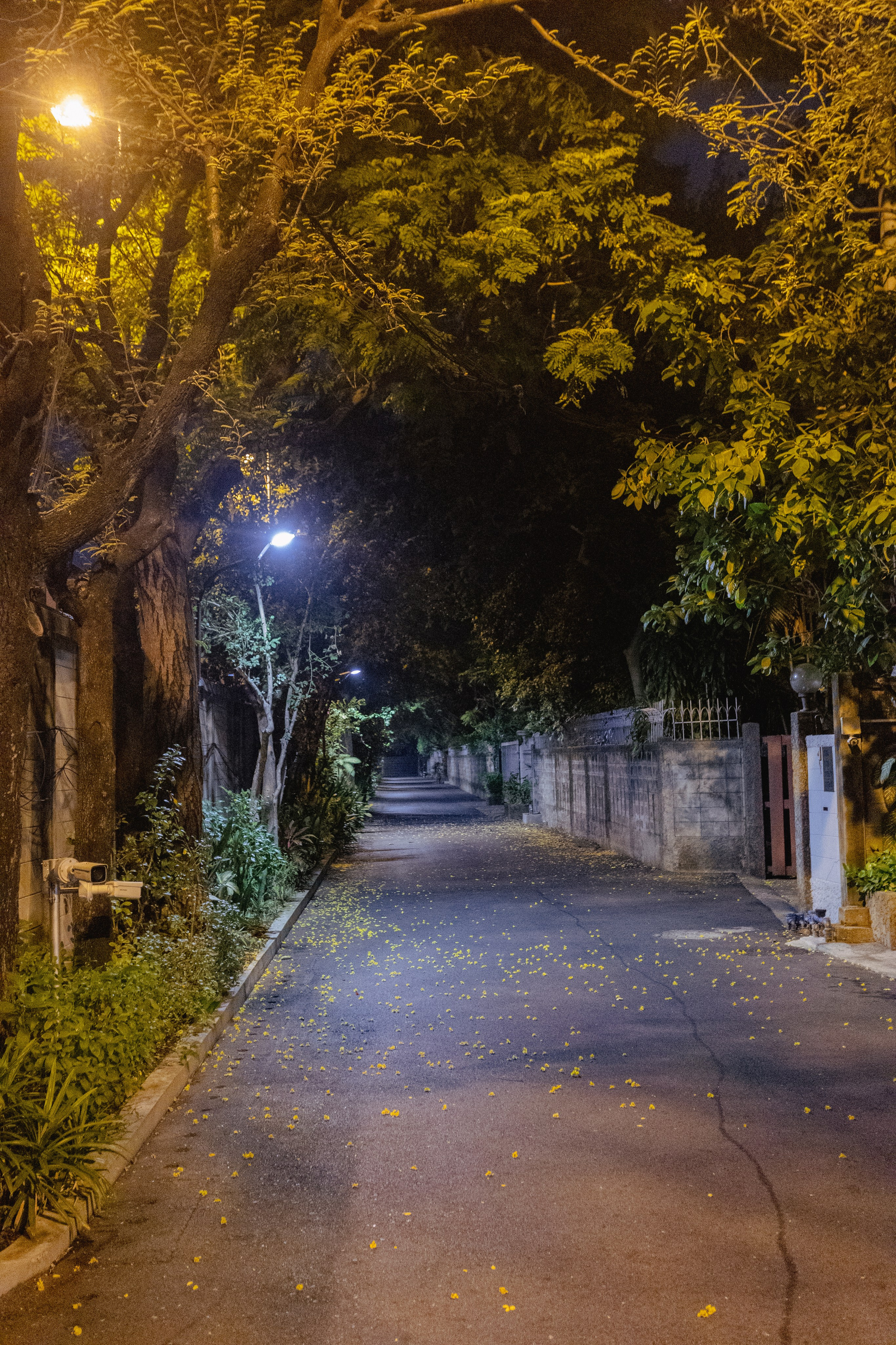 Bangkok. Фотограф Сонкина Татьяна
