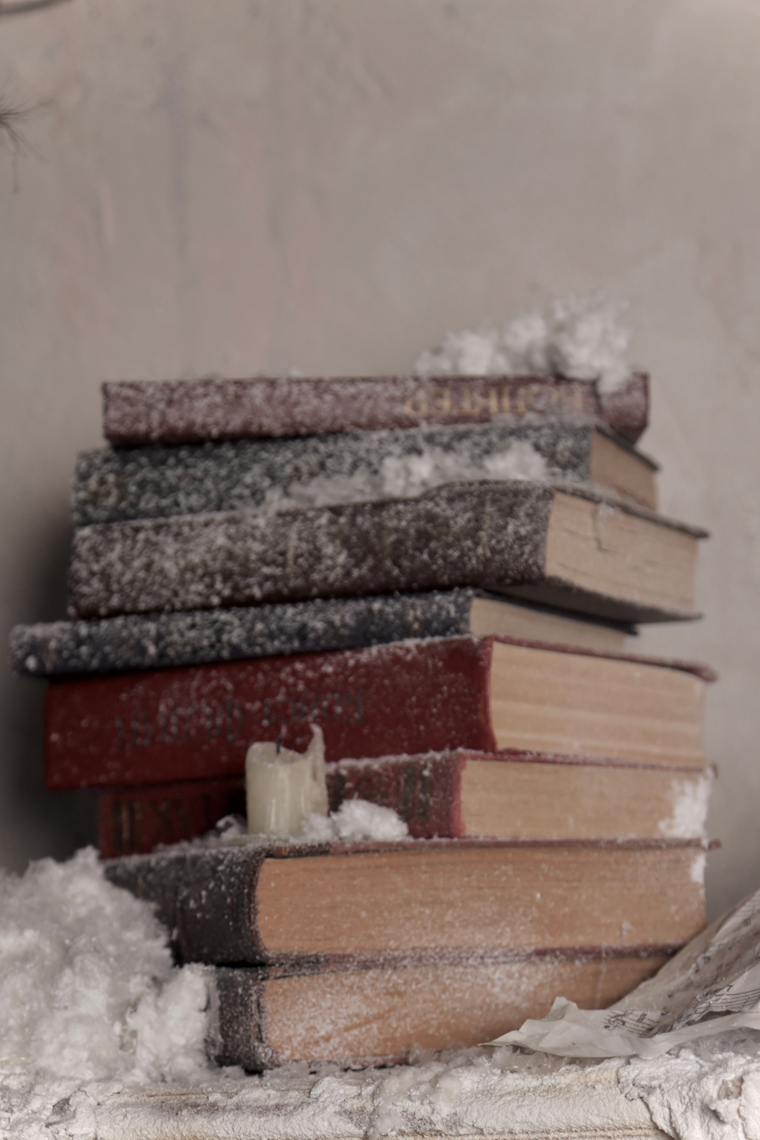 Фотопроект «Королева Нарнии». Фотосессии и репортаж — Фотограф в Москве — Рина Серёгина