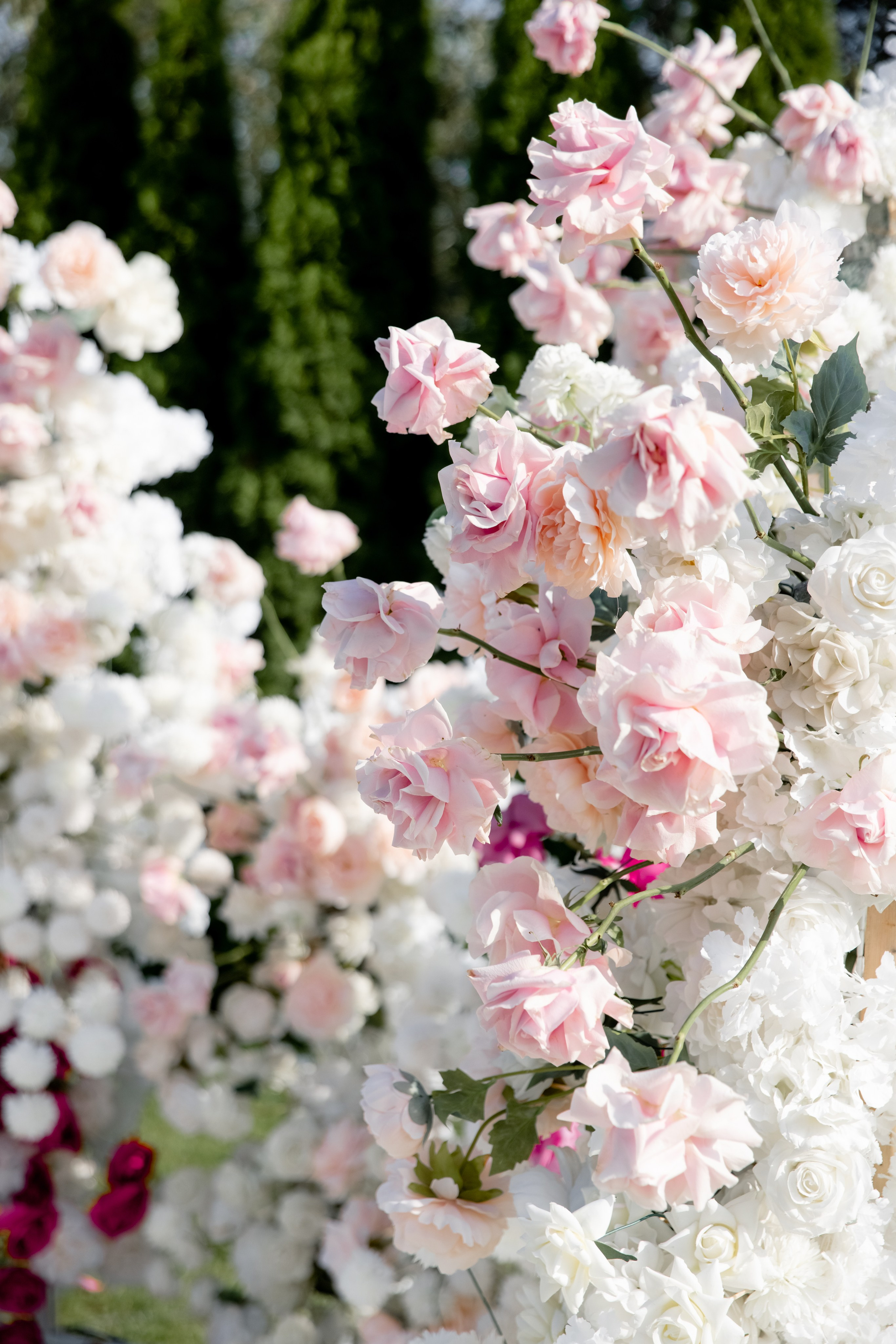 Сергей и Анна. Свадебный и семейный фотограф в Орша