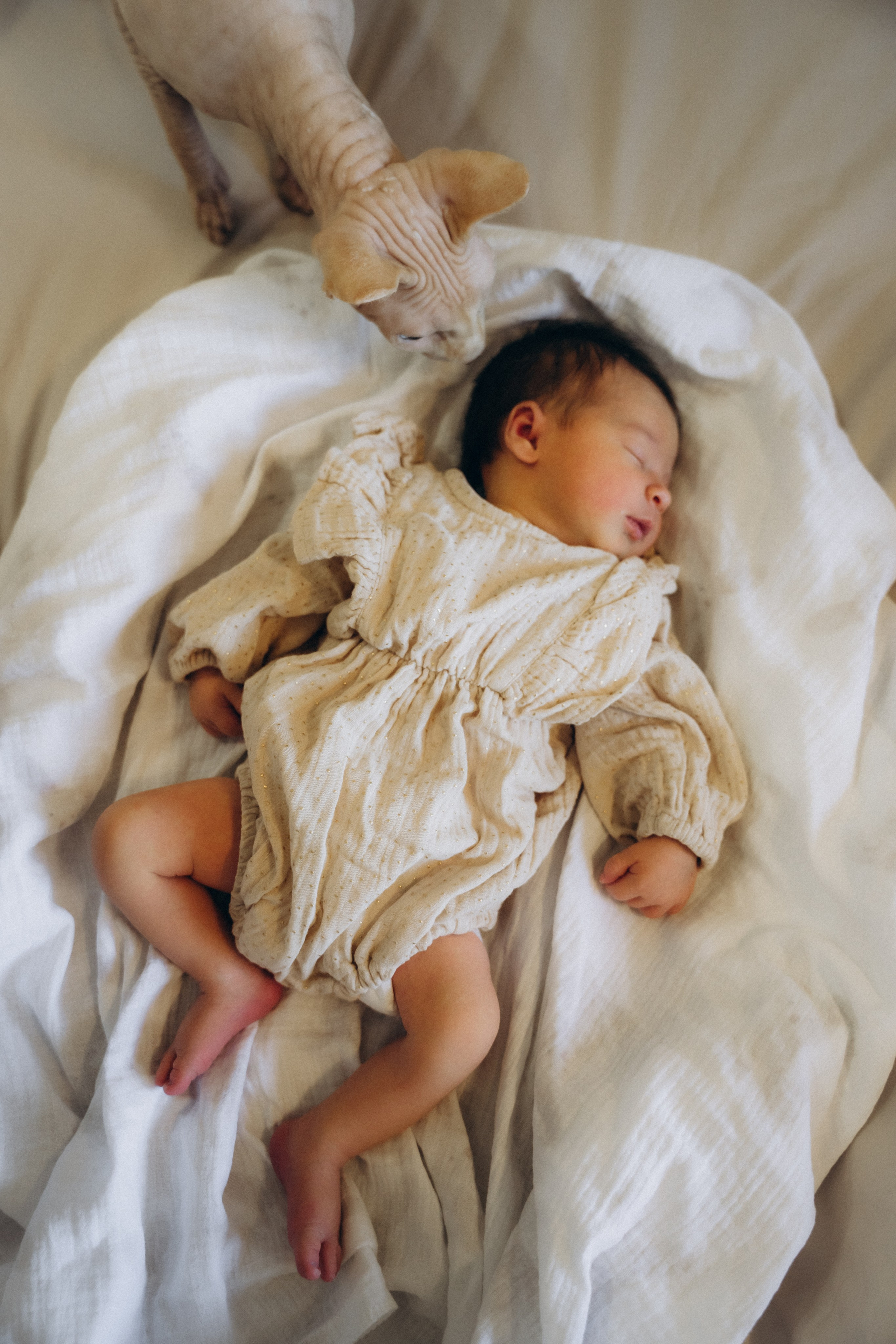 Вика и Дима. Аплас Анастасия