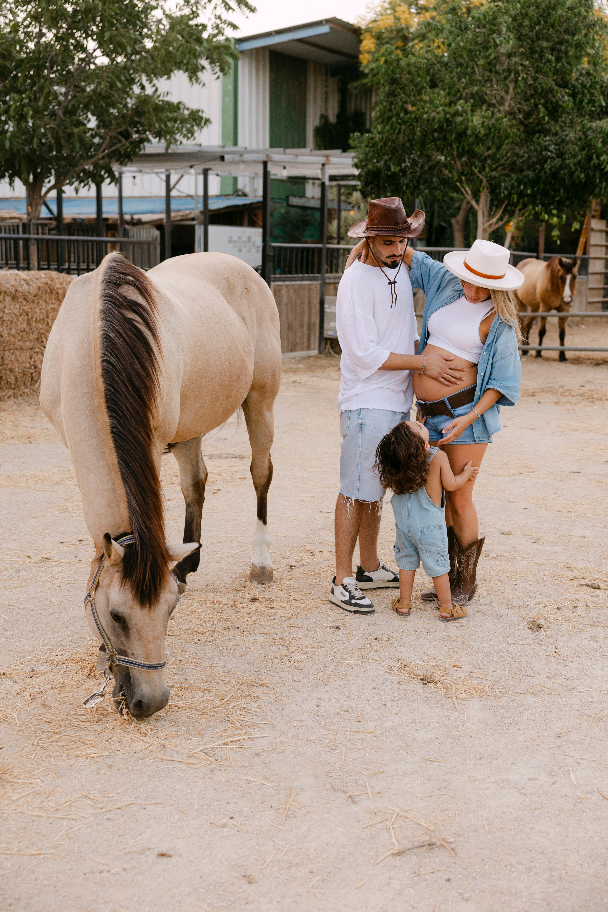 Pregnancy photoshoot at the horse farm. Главная