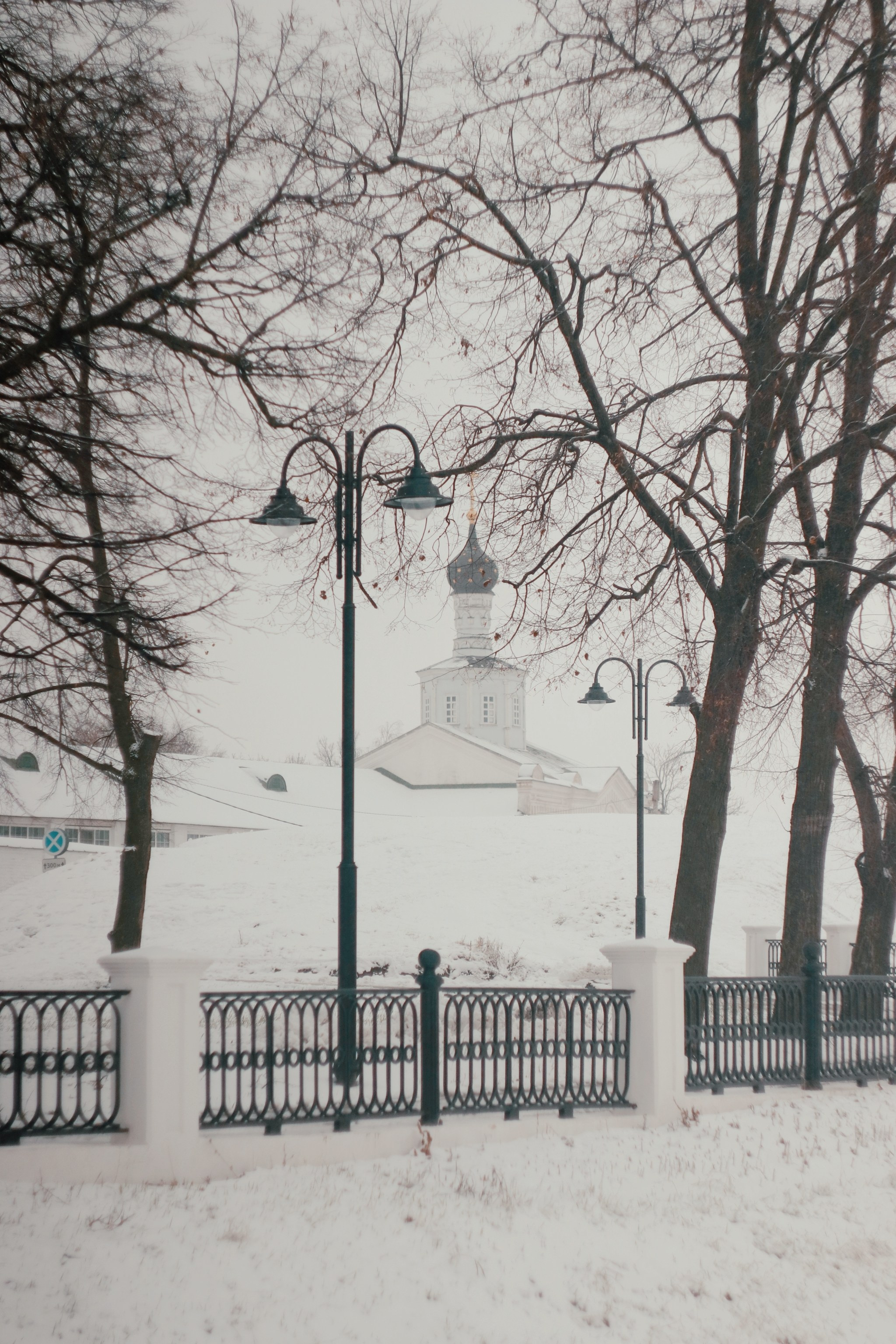 Ноябрьский снег. С любовью, фотохудожник