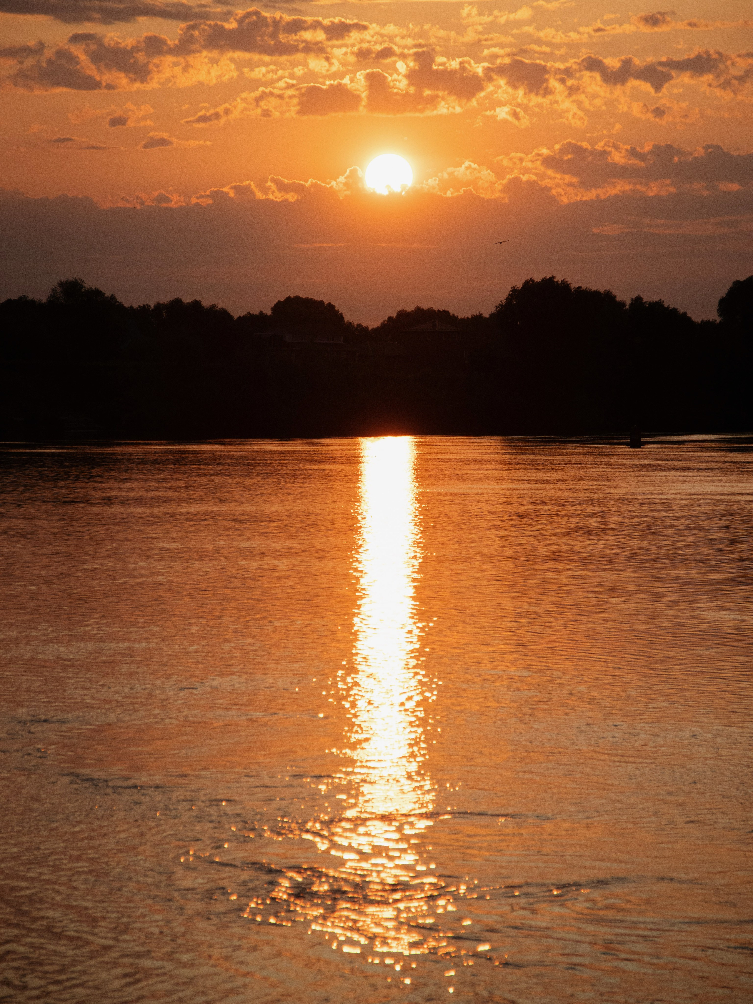 Жидкое золото. С любовью, фотохудожник