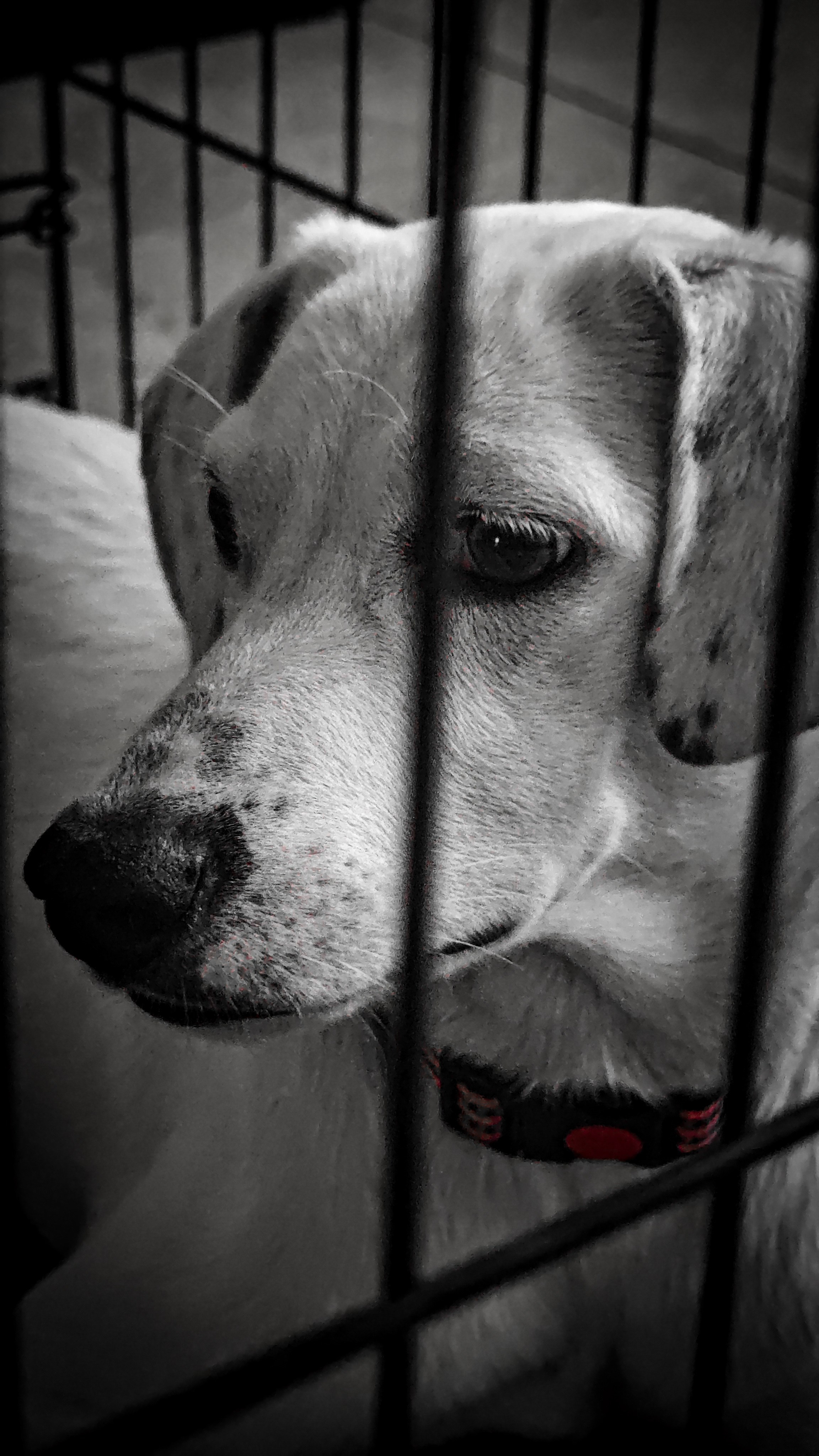 Ожидание. Игорь Урывский. Фотограф Красноярск