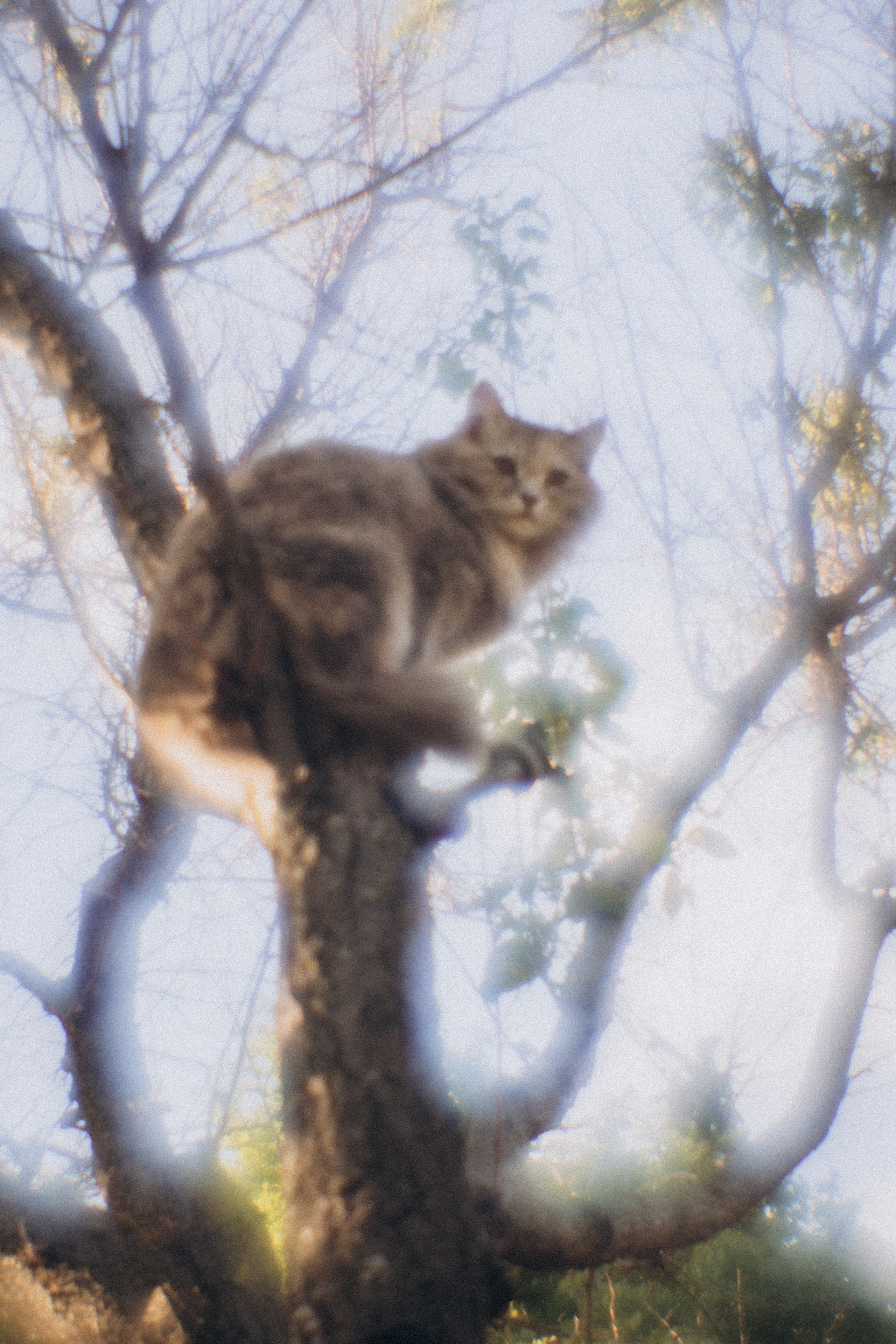 Пикториальный альбом. Семейный LIFESTYLE фотограф в Москве