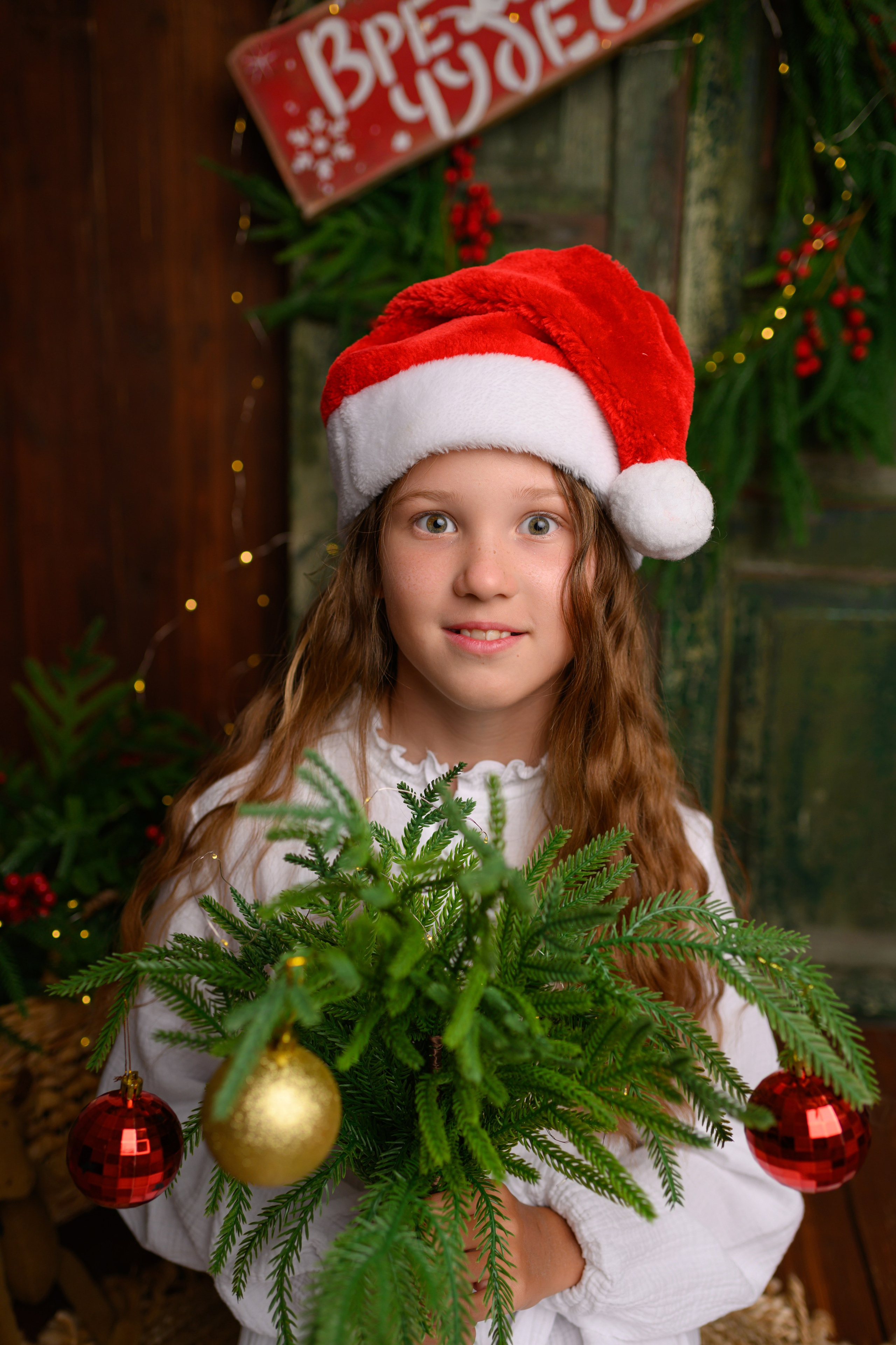 Фотопроект Новый год. Семейный, детский фотограф в Москве Дегтярева Анастасия