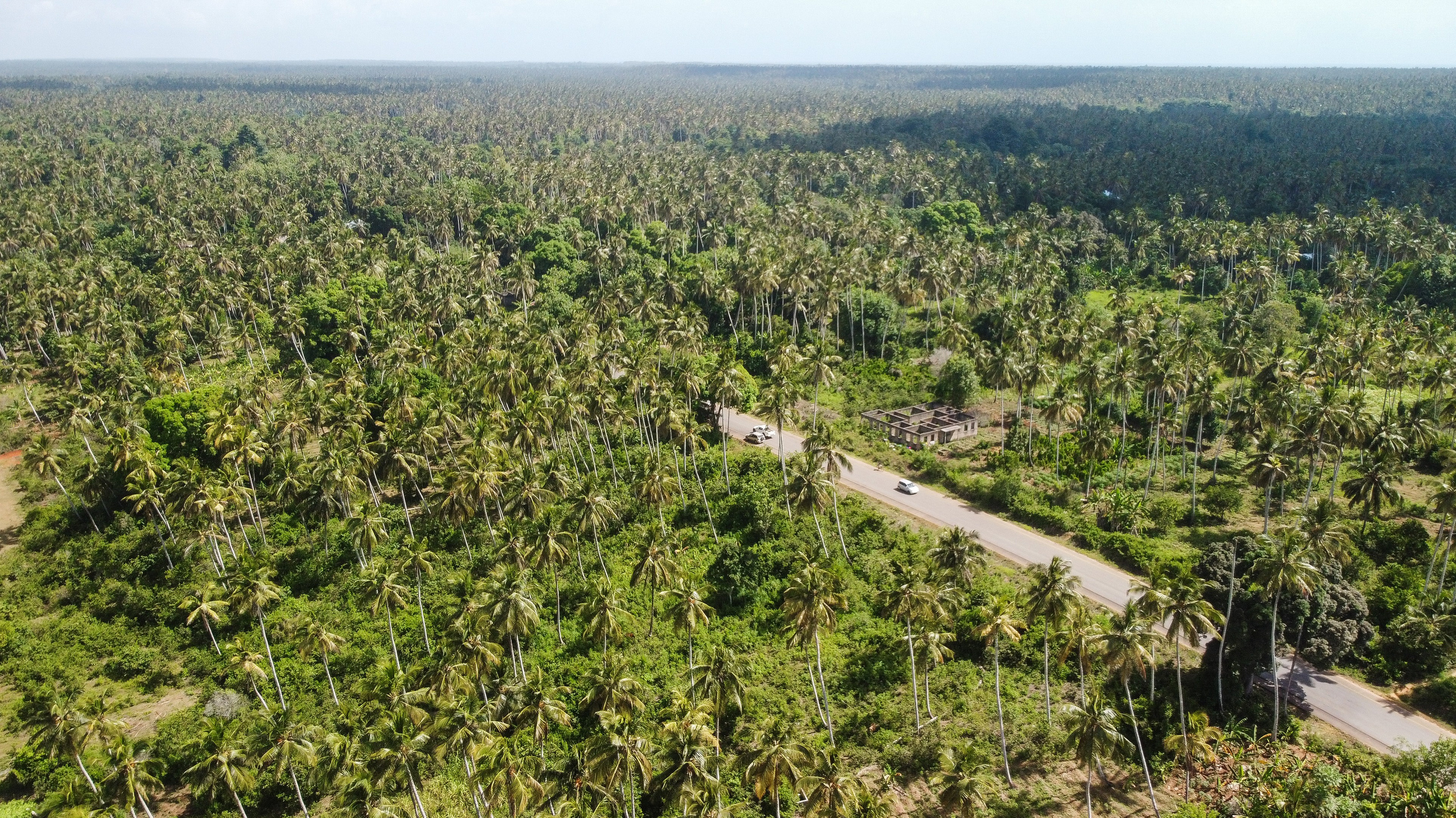 Остров Занзибар, Танзания. Фотограф Сергей Кишкель Дананг Нячанг Фукуок
