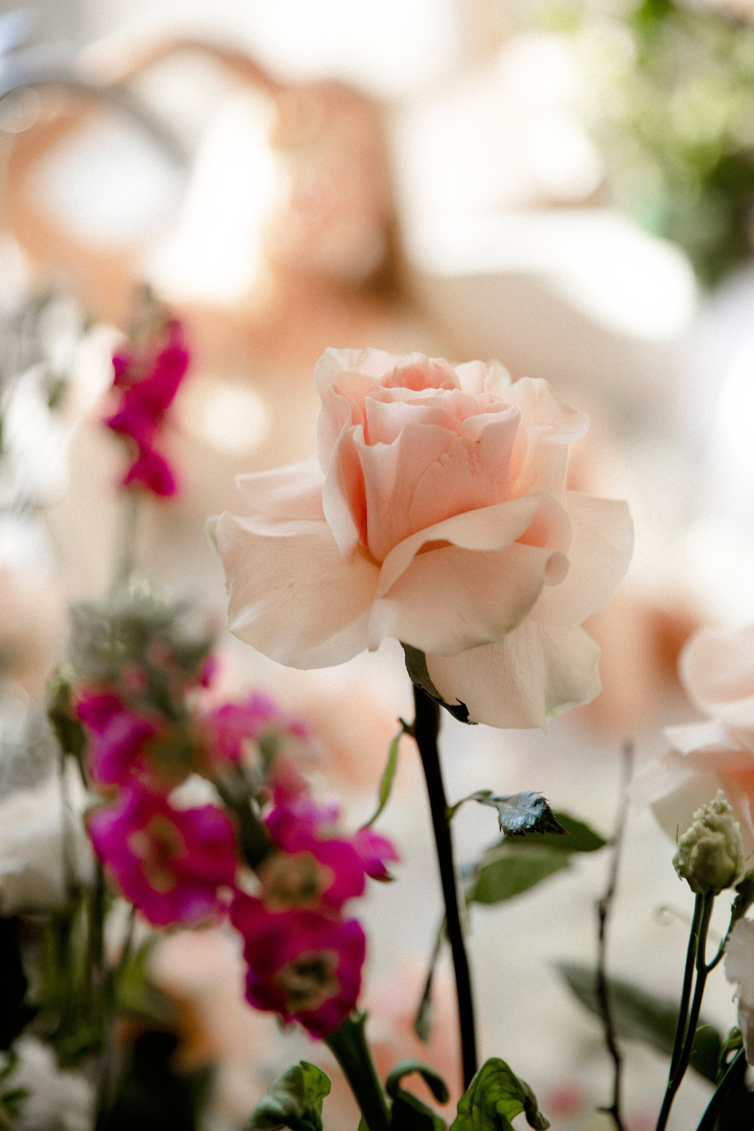 Дарья. Свадебный и портретный фотограф