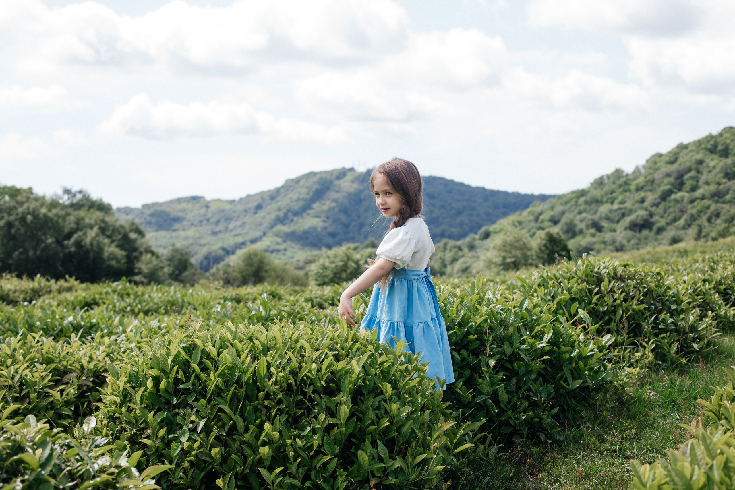 Tea plantation. Efimova Model Agency