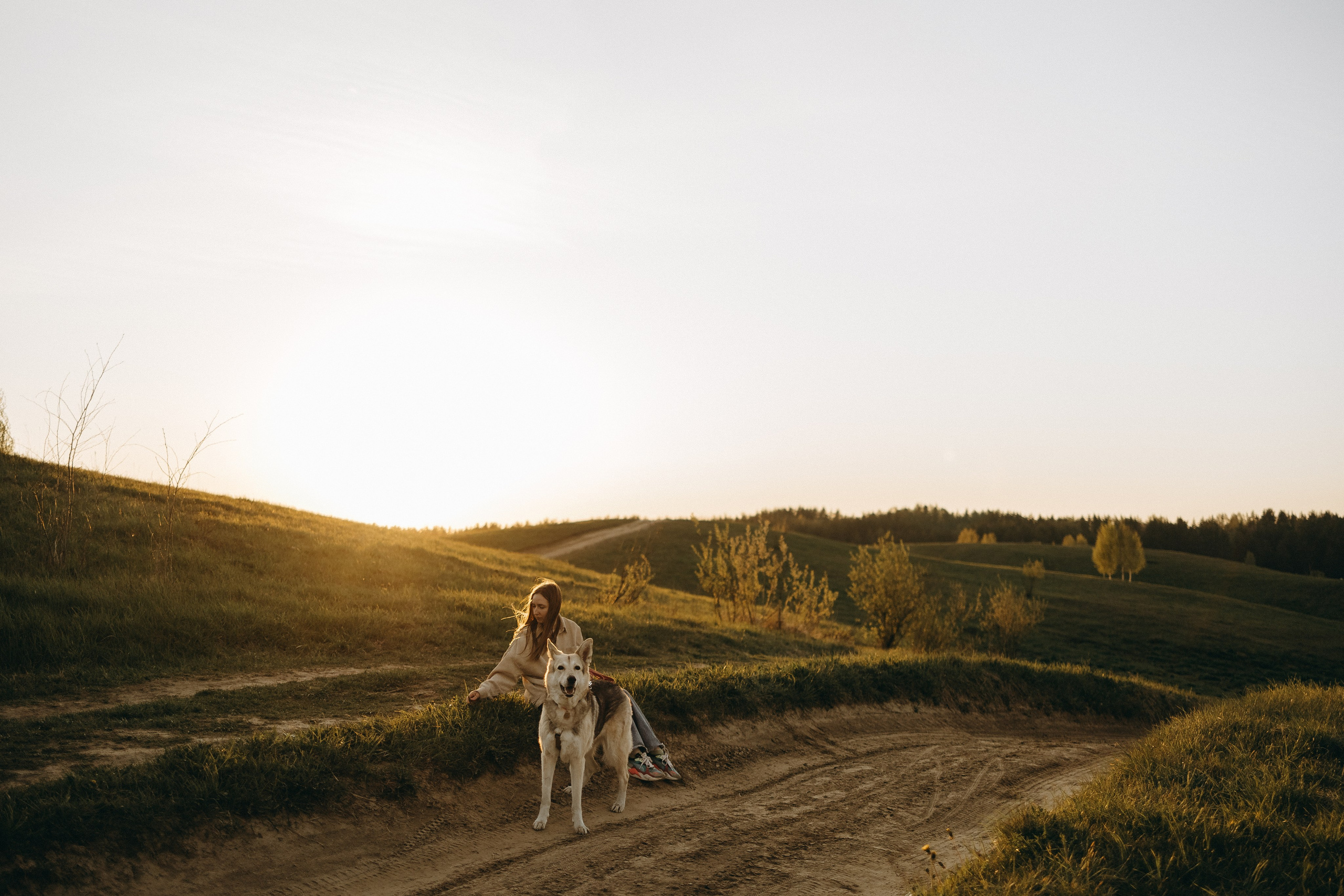 Саша и Зельда. Фотограф — Анималист | Санкт-Петербург