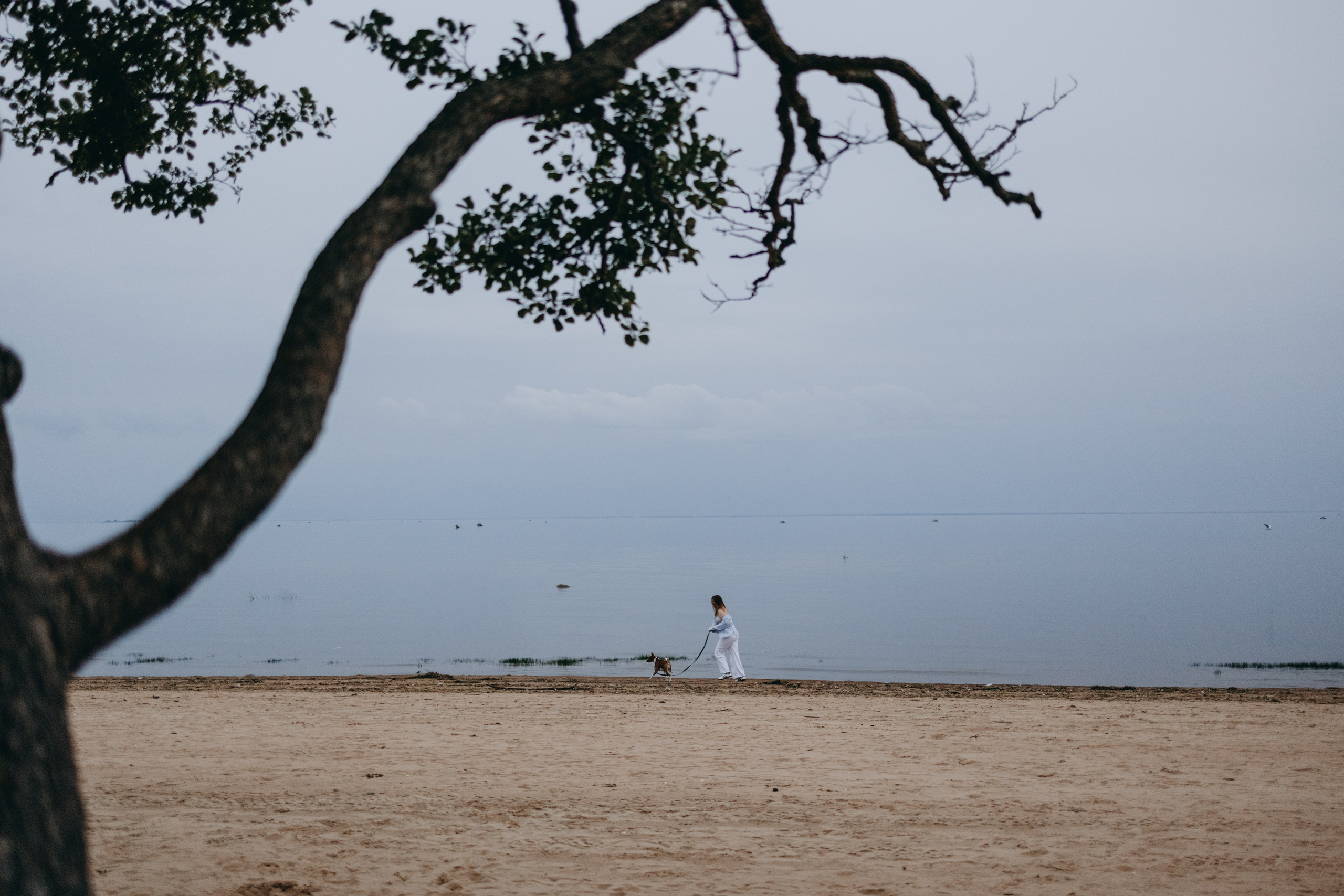 Даша и Арчи. Фотограф — Анималист | Санкт-Петербург