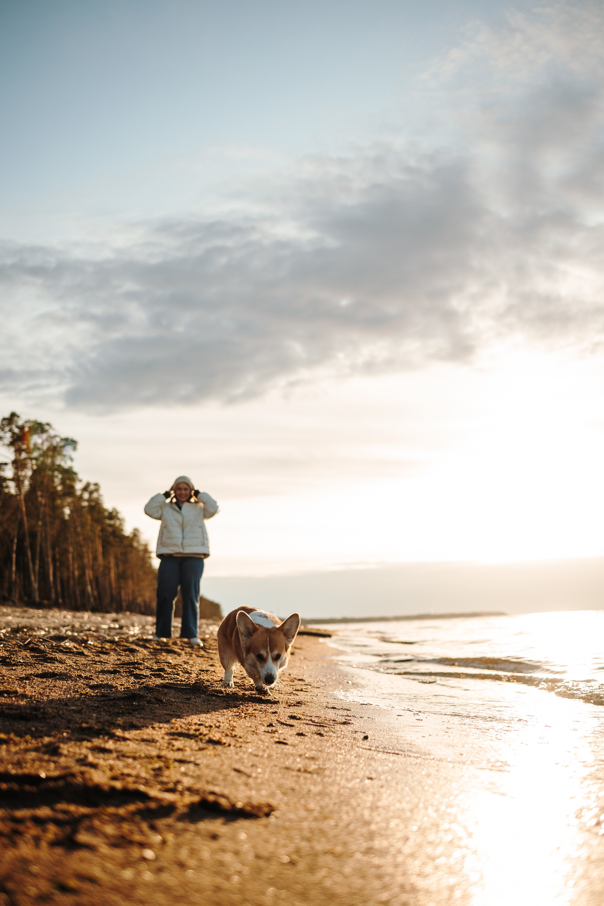 Найт и его семья. Фотограф — Анималист | Санкт-Петербург