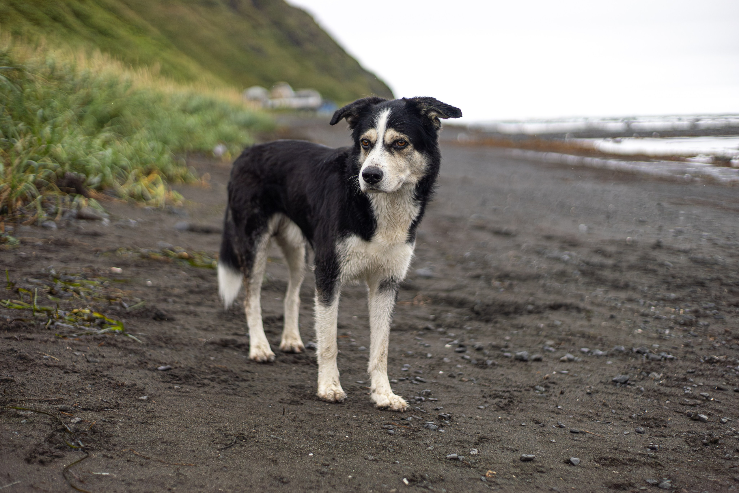 Мыс Евстафия. Фотограф в Южно-Сахалинске Гусаков Евгений