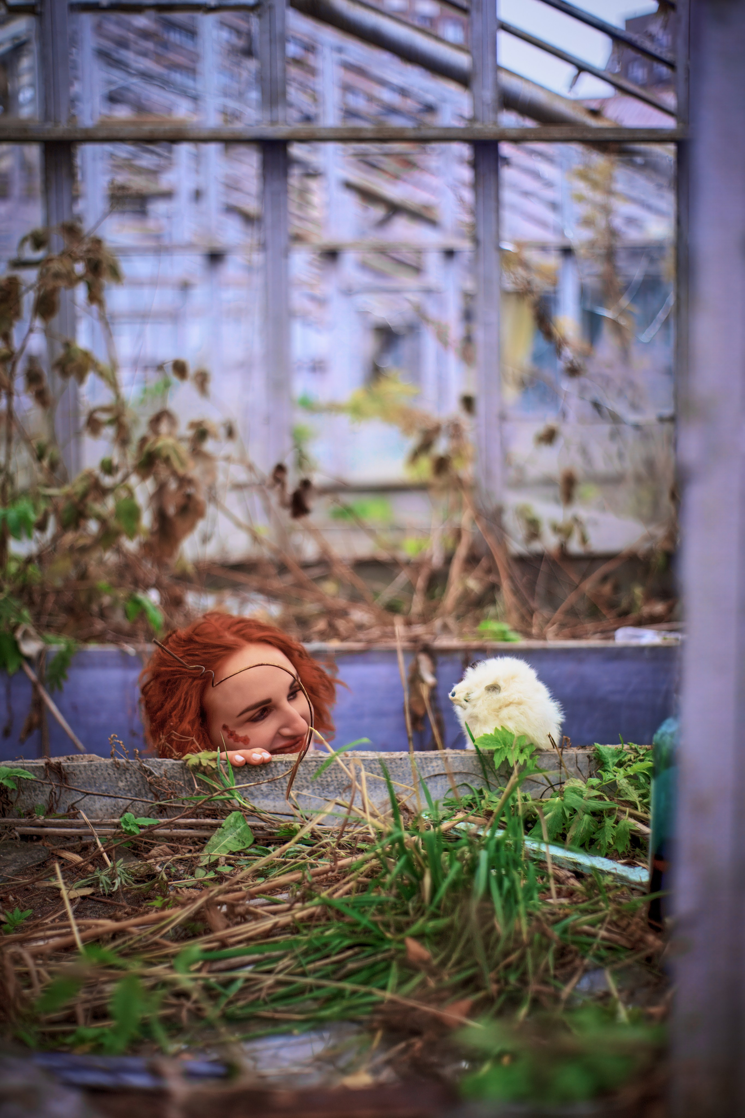 Алиса. Наше время. Фотограф в Южно-Сахалинске Гусаков Евгений