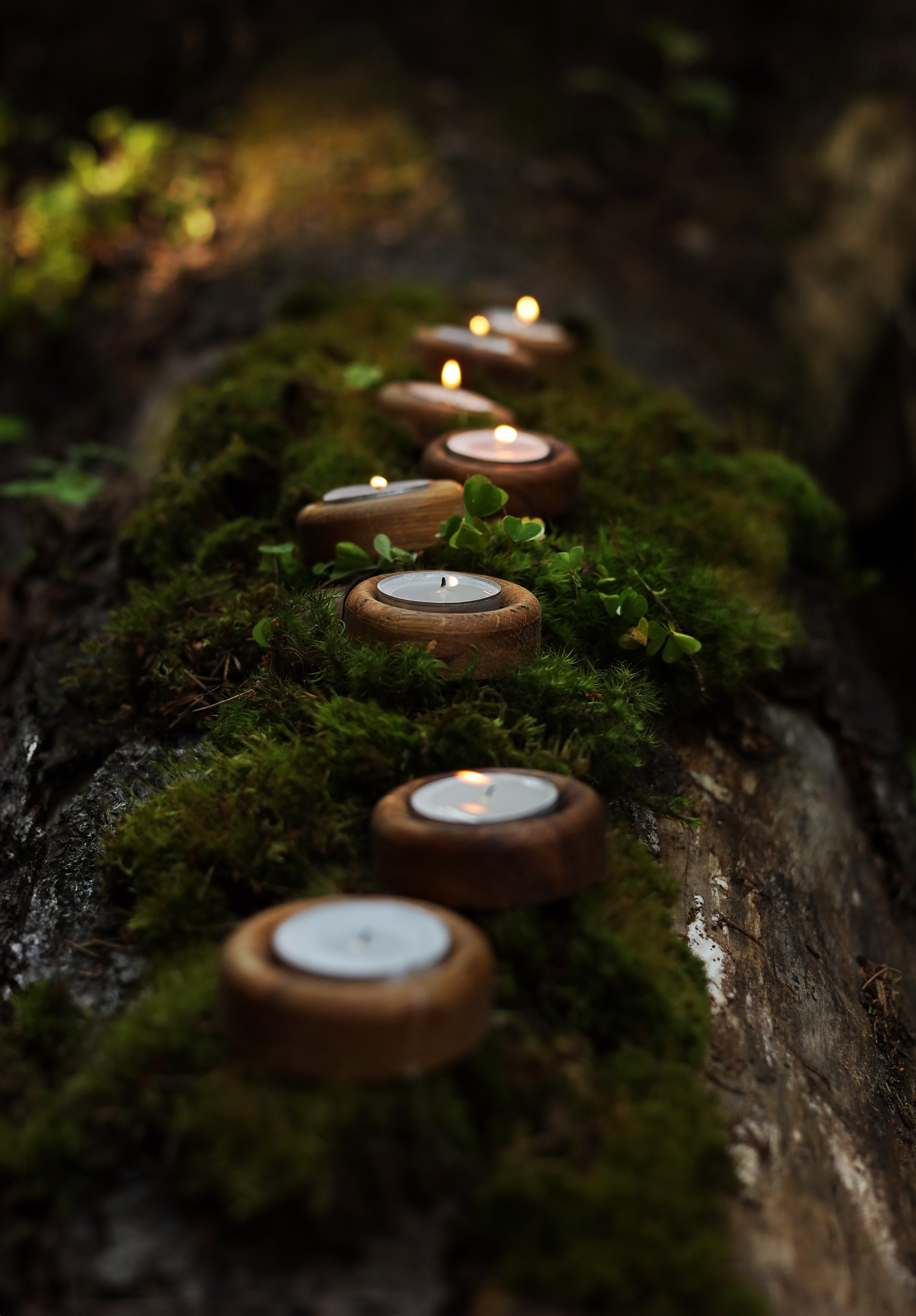 Тематическая фотосессия. Индивидуальный фотограф в Сергиевом Посаде Наталья Румянцева