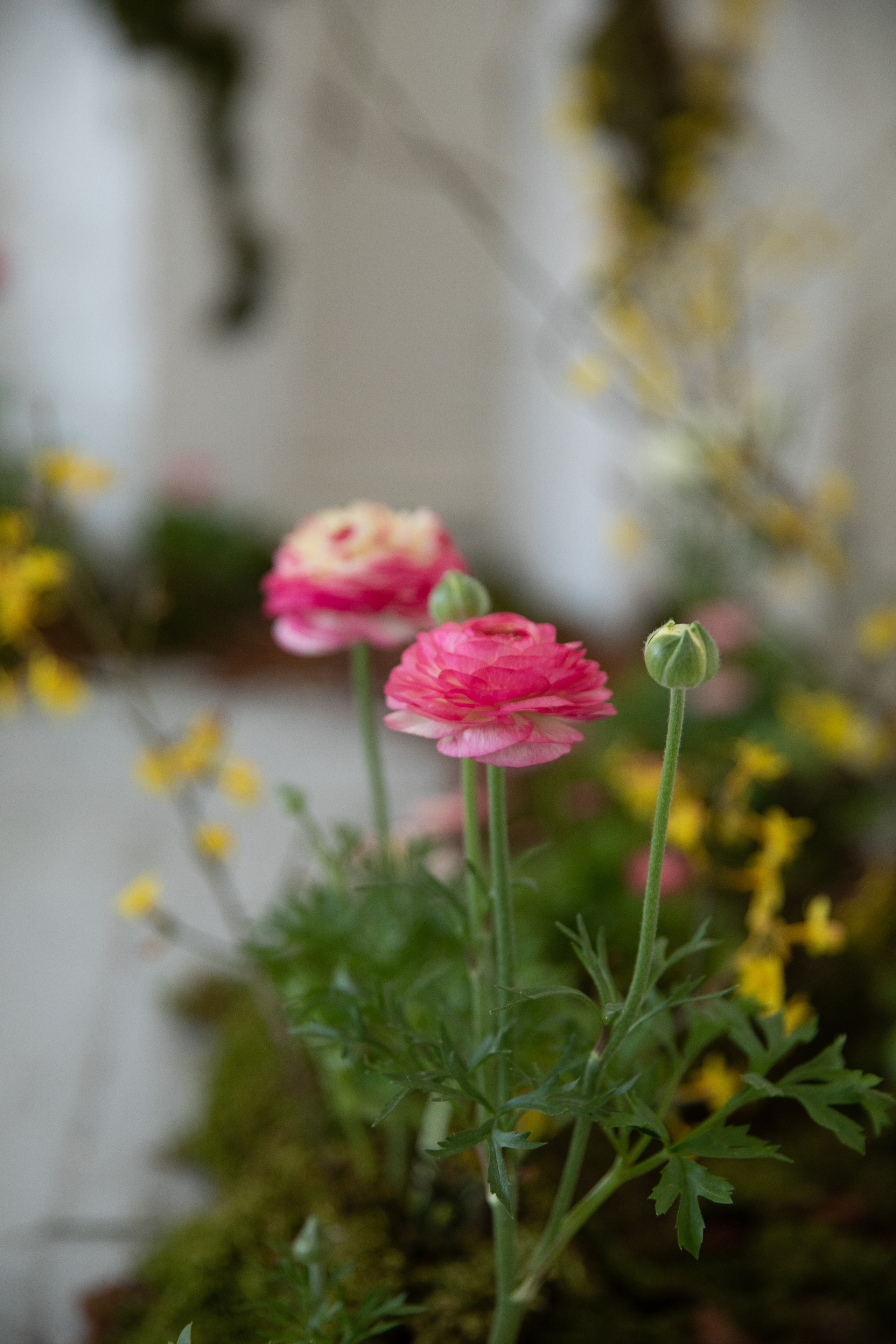 SPRING INSPIRATION. СВАДЕБНЫЙ ФОТОГРАФ В КРЫМУ И СЕВАСТОПОЛЕ