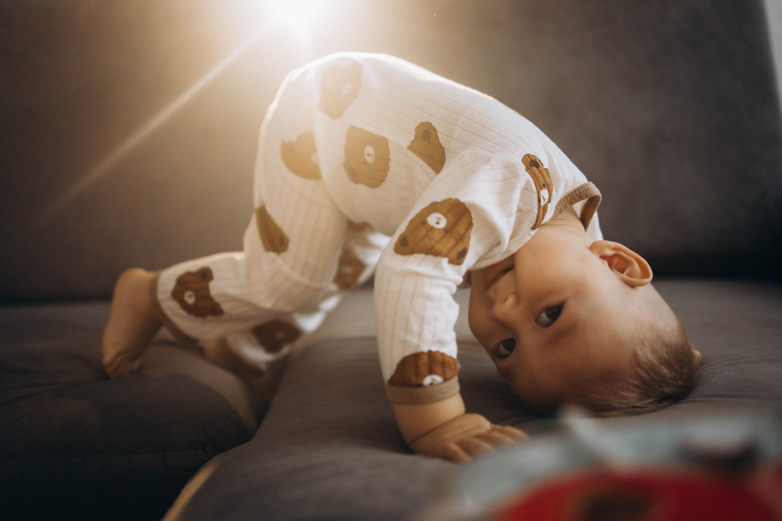 Юлия, Бахтияр. Динара Федорова семейный фотограф