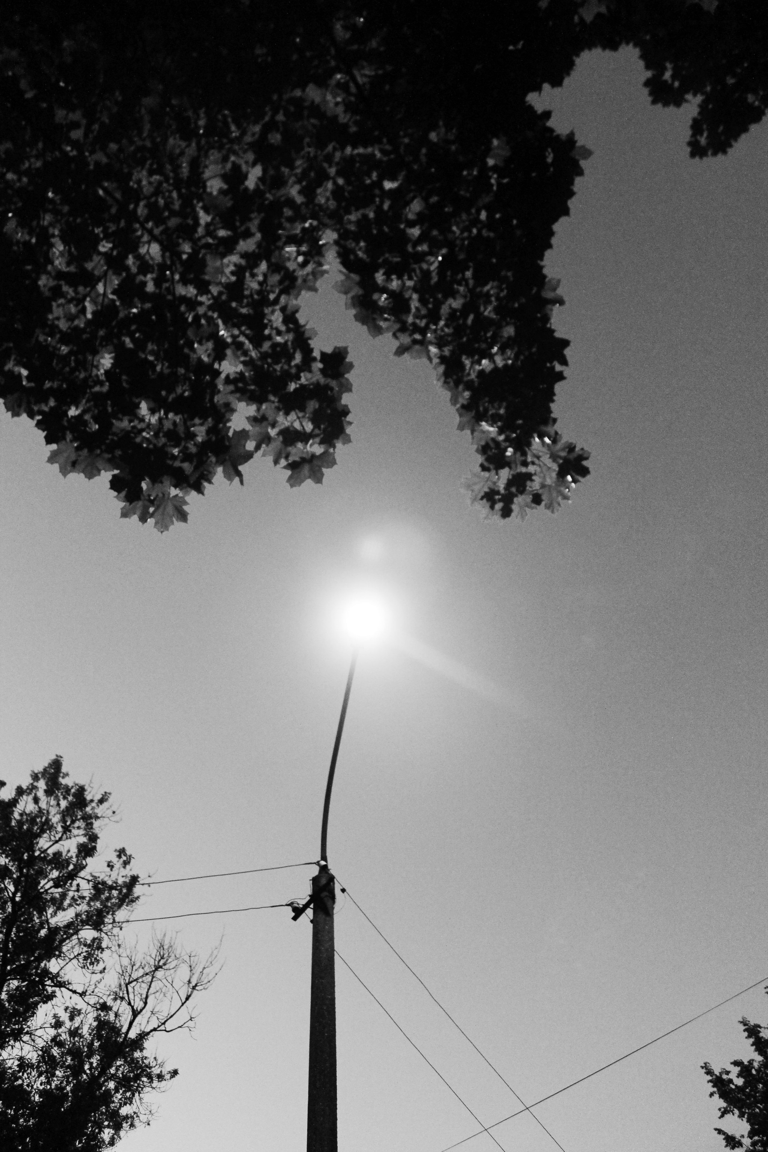 Мои первые работы. Фотограф из Москвы — DASHA NOVA | Авторская фотография в разных жанрах