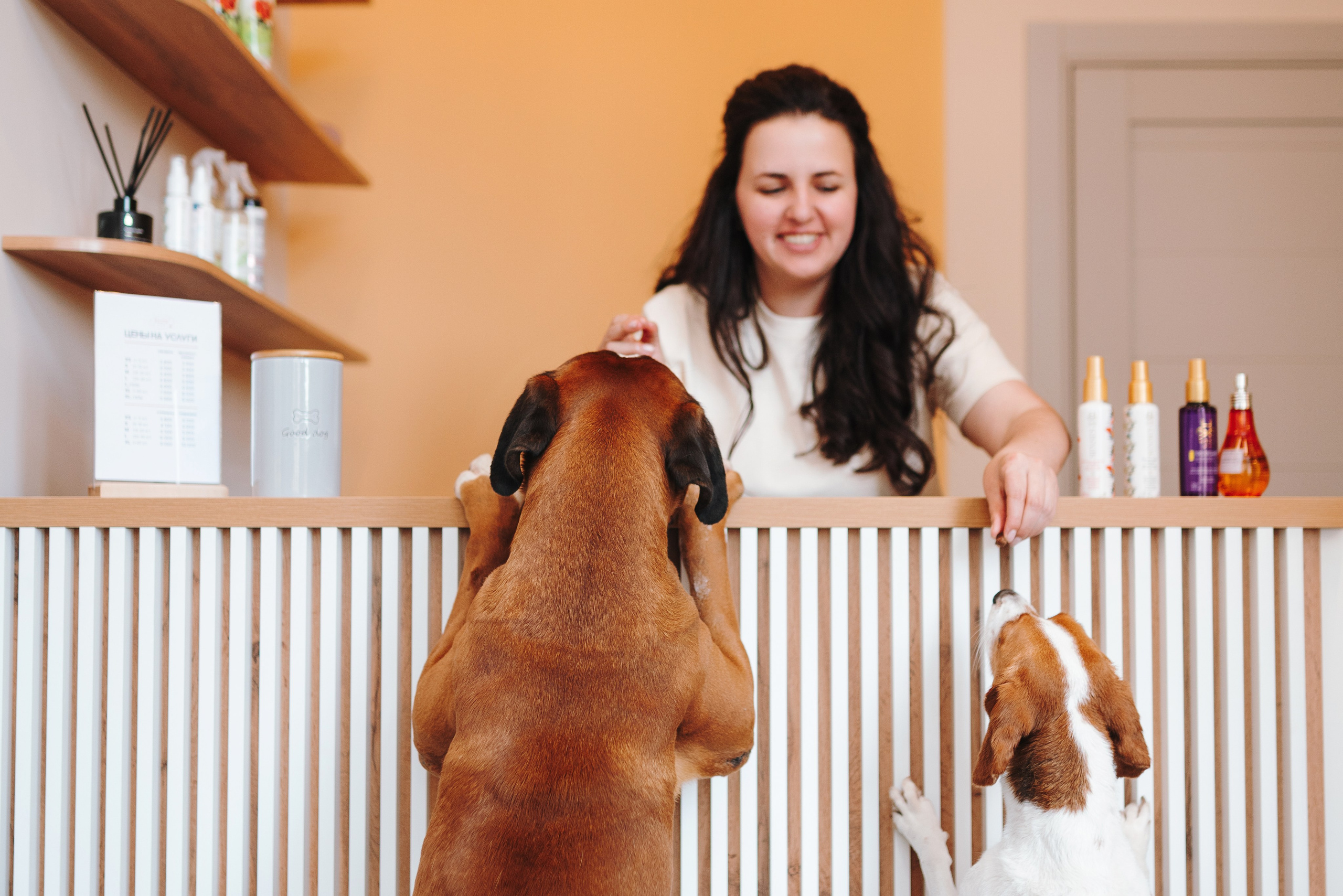 Груминг-салон. Фотограф анималист Осипчикова Мария