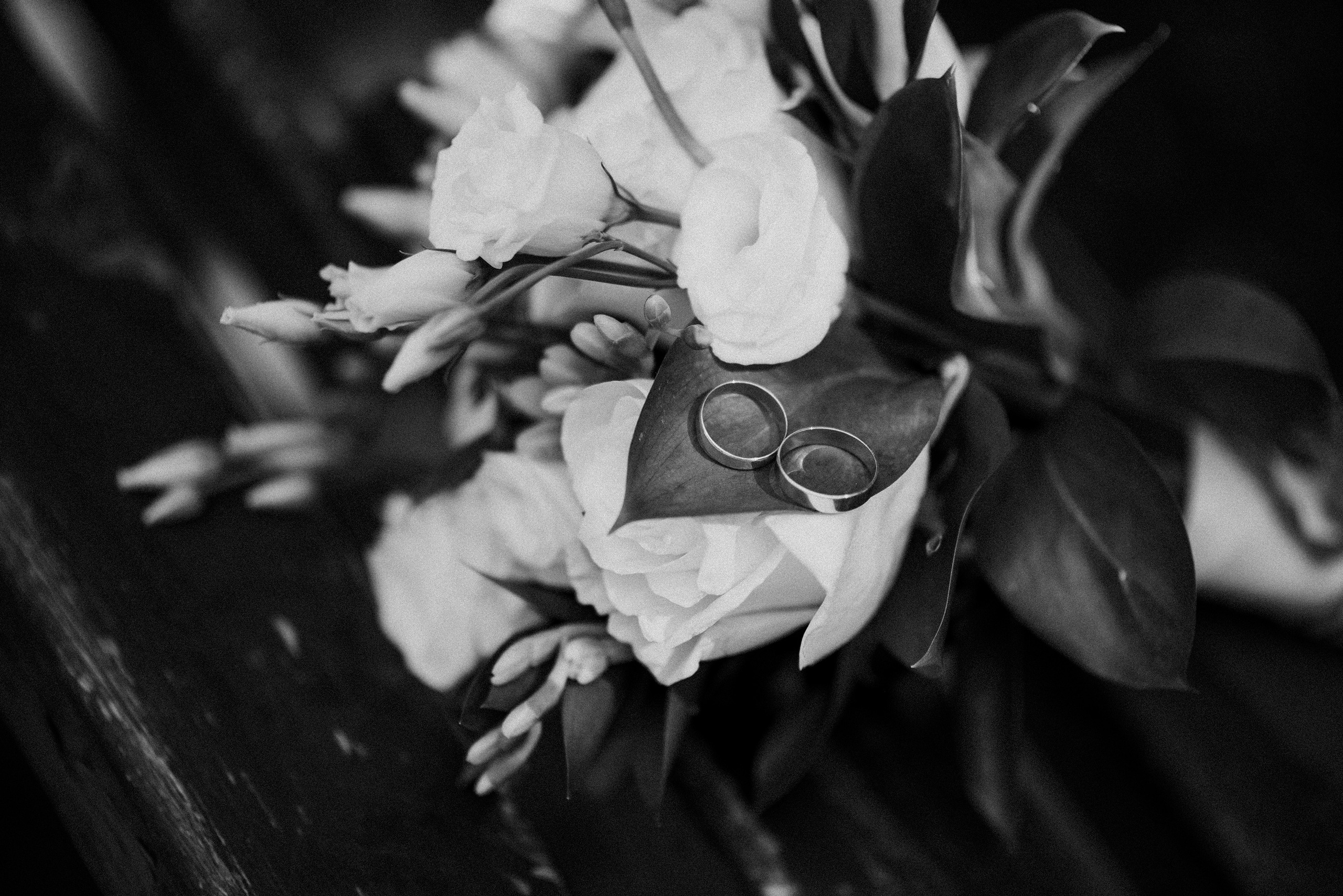 Свадебная прогулка в ♥ ЧБ. Семейный фотограф ЕЛЕНА ШАФИГУЛИНА