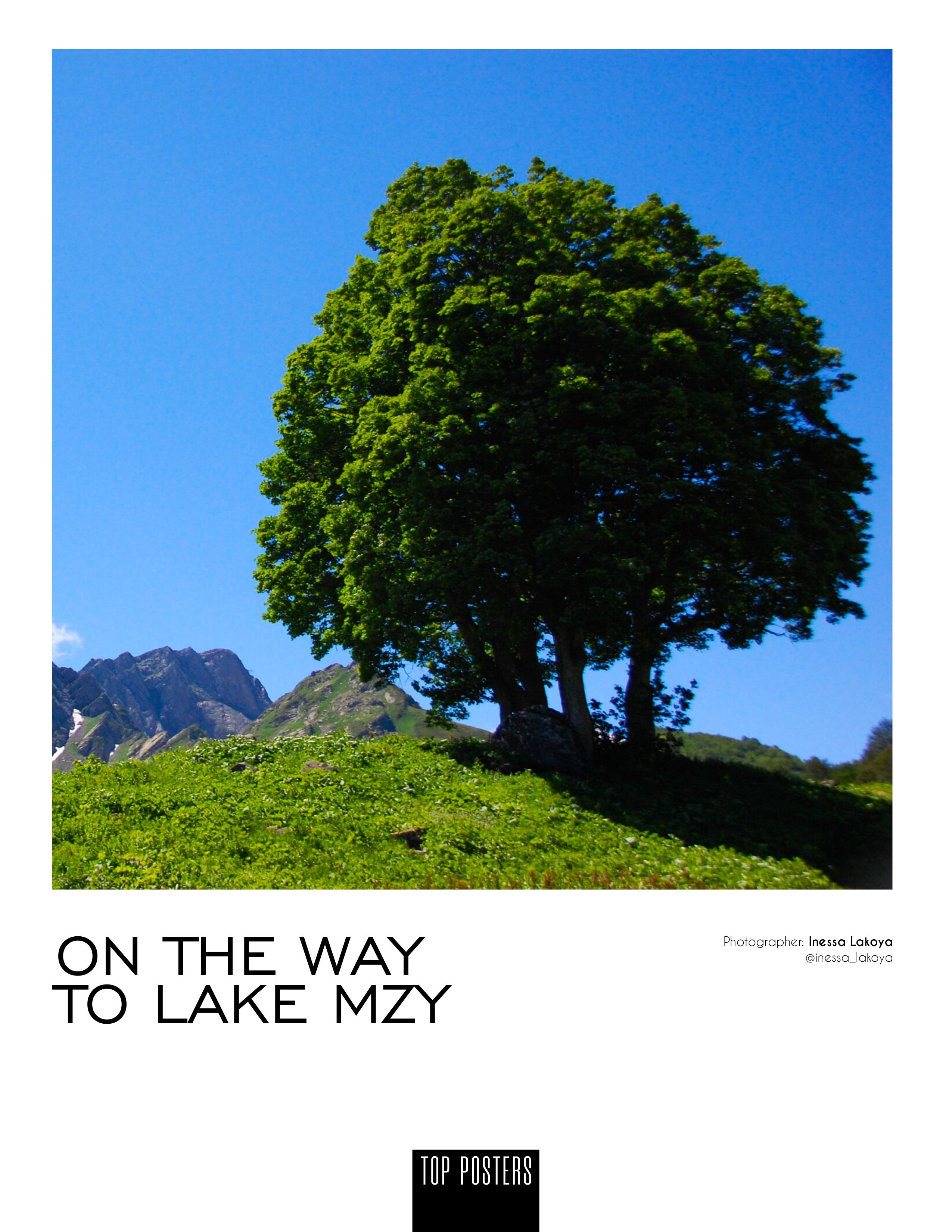 TOP POSTERS (New York). Фотограф Инесса Лакоя